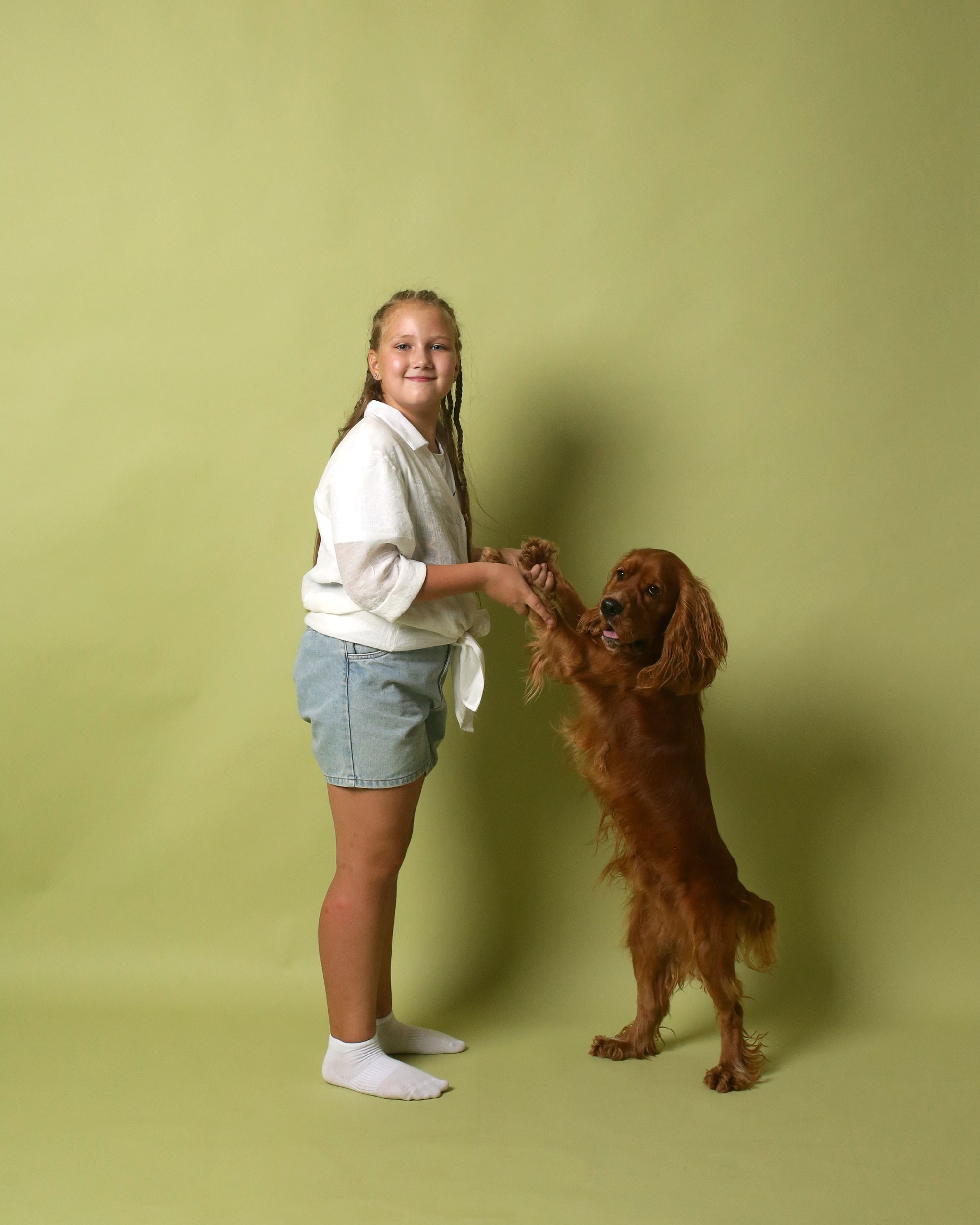 девочка и собака на зеленом бумажном фоне в фотостудии без фотографа