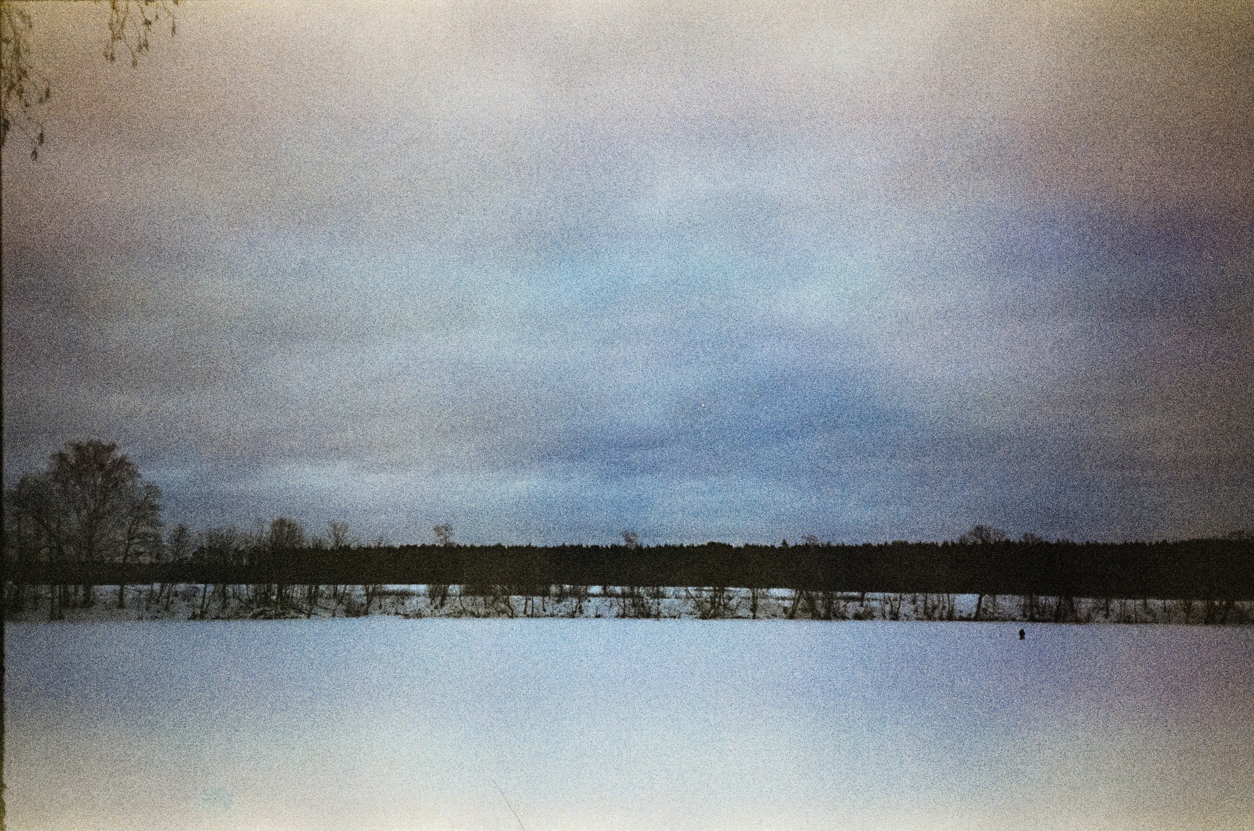 Fujicolor Superia 200 (просрочка) / Cosina CX-1 / 6 января 2025 года Усадьба Архангельское