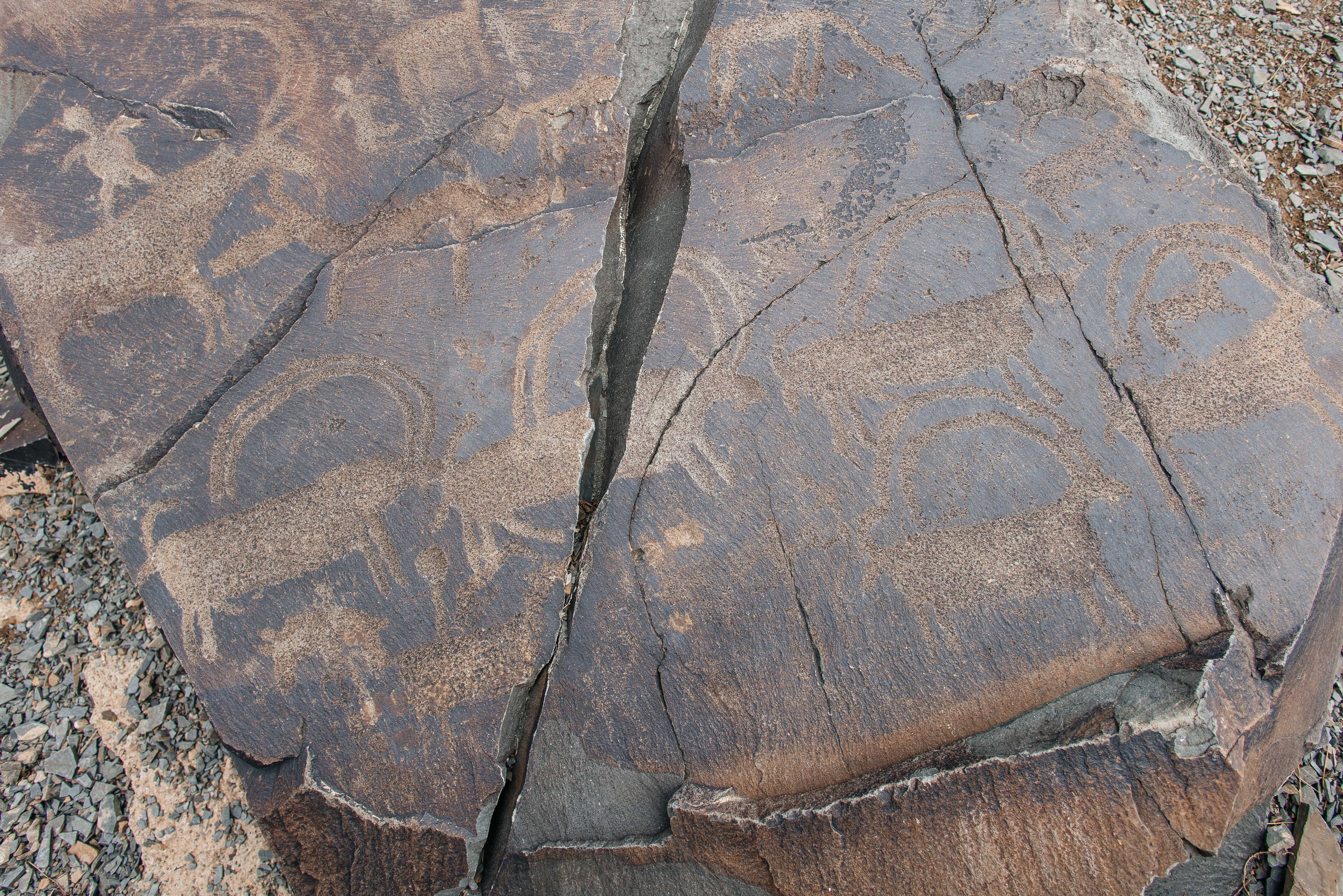 Экскурсия и тур на петроглифы Танбалы ЮНЕСКО