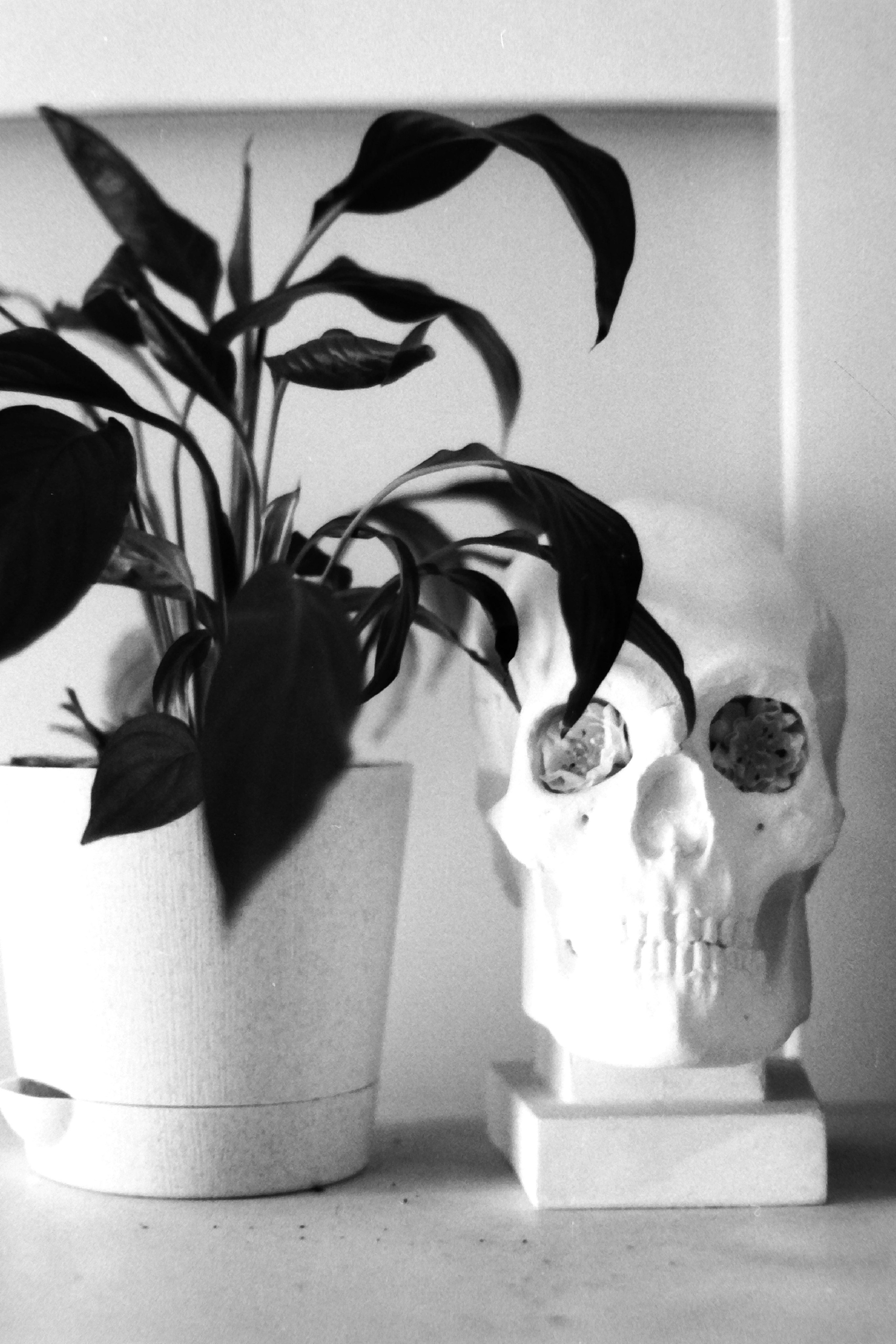 Автор: Любовь Степанова