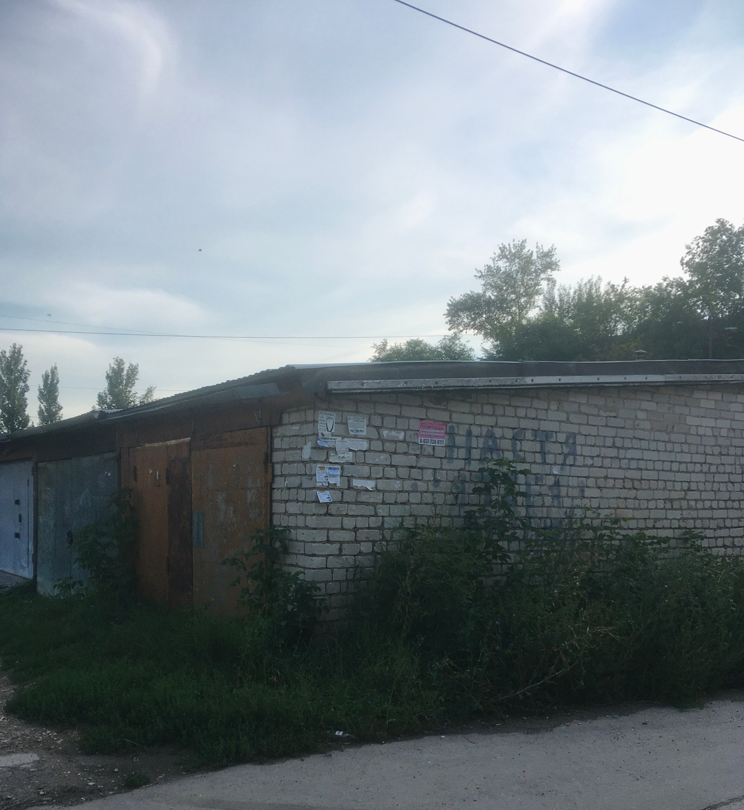 Автор: Евгения Полонская