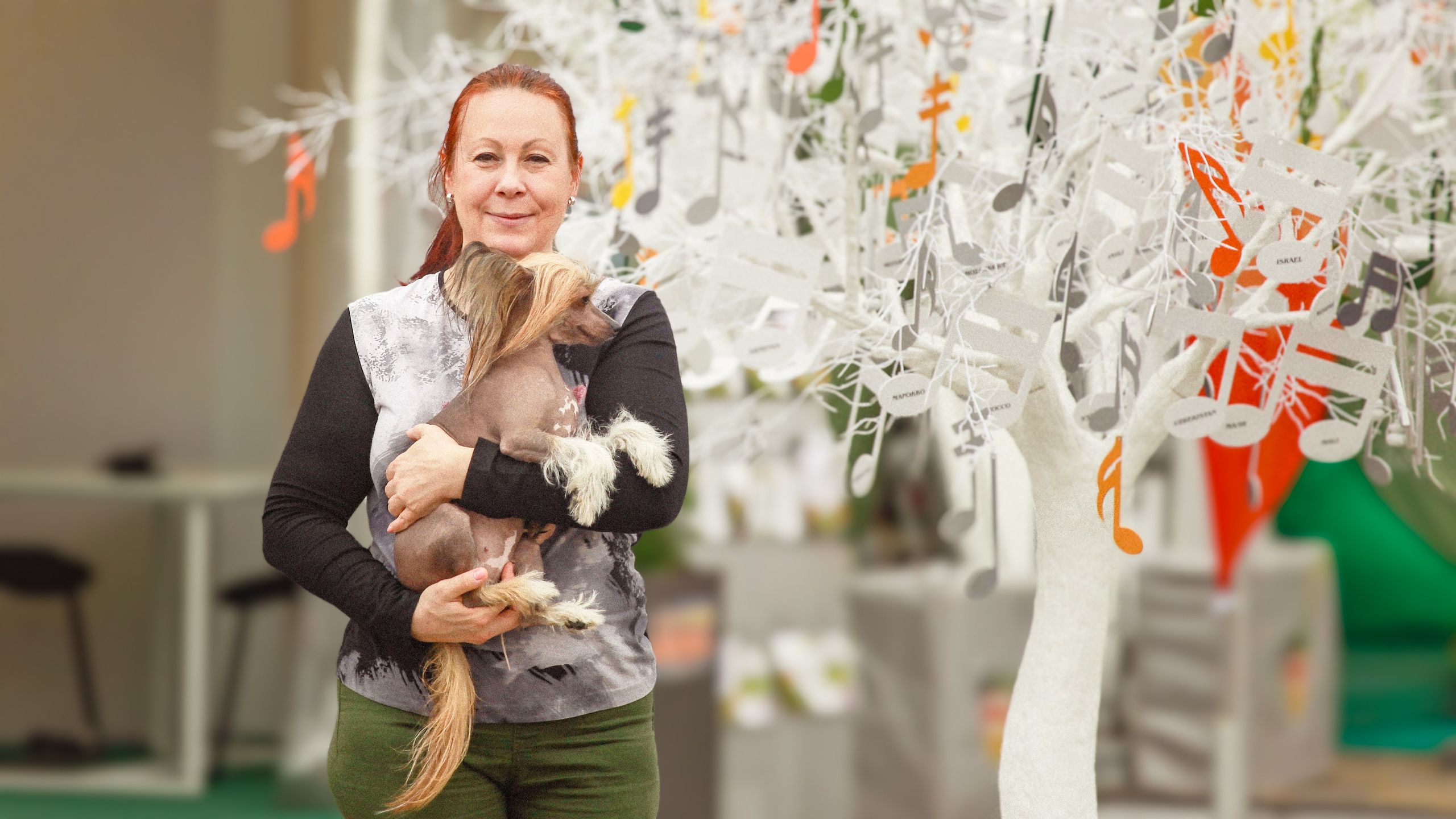 Poale Ell Clare. Chinese Crested Dog Kennel Poale Ell