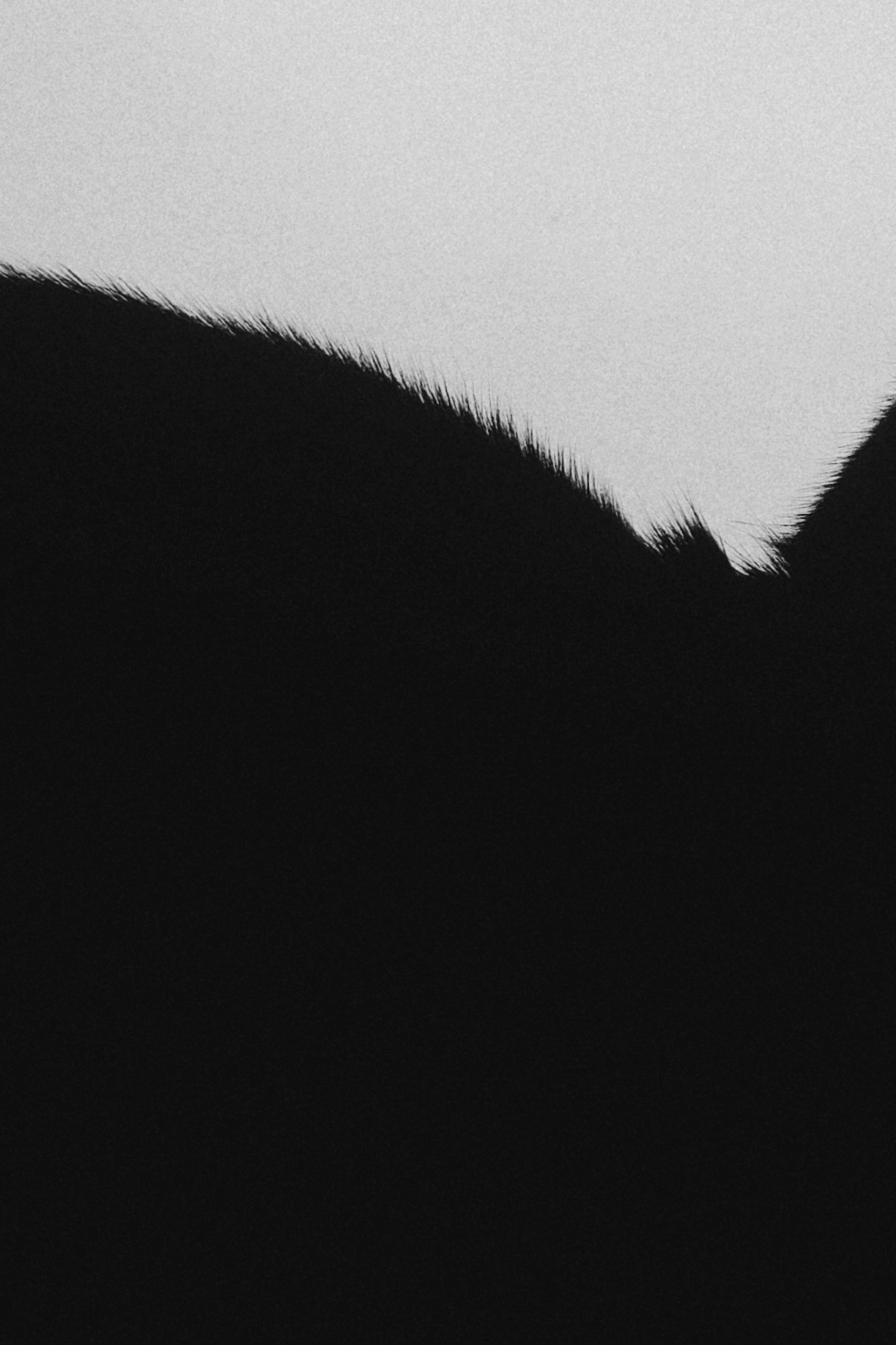 Ростов «Мир в деталях». ARTEXPOPHOTO