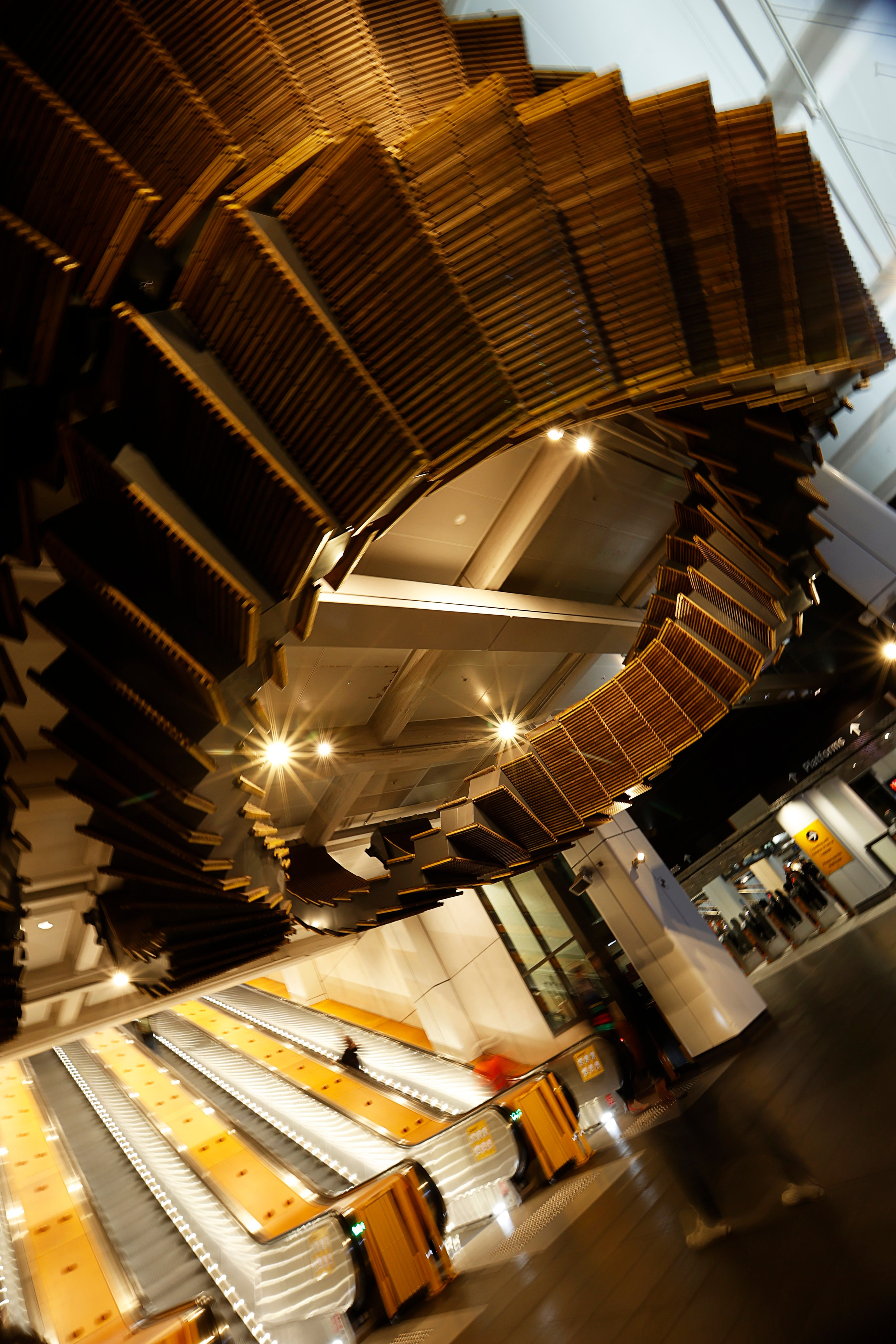 Street photography experience. Maria Poleshchuk, commercial photographer in Sydney