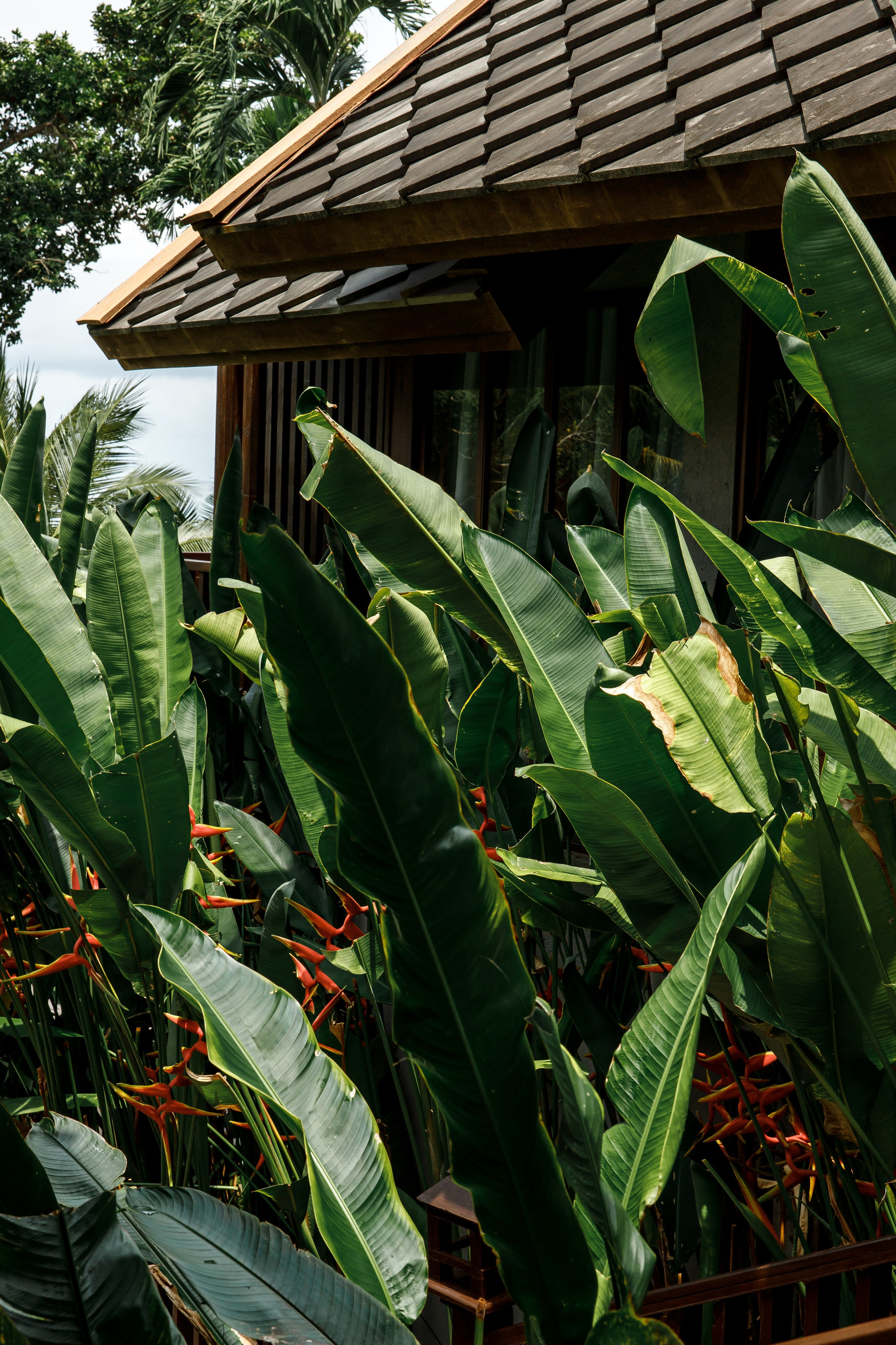 Dom & Vicky |Paradee Resort Koh Samet. Photographer in Phuket. Photographer Thailand