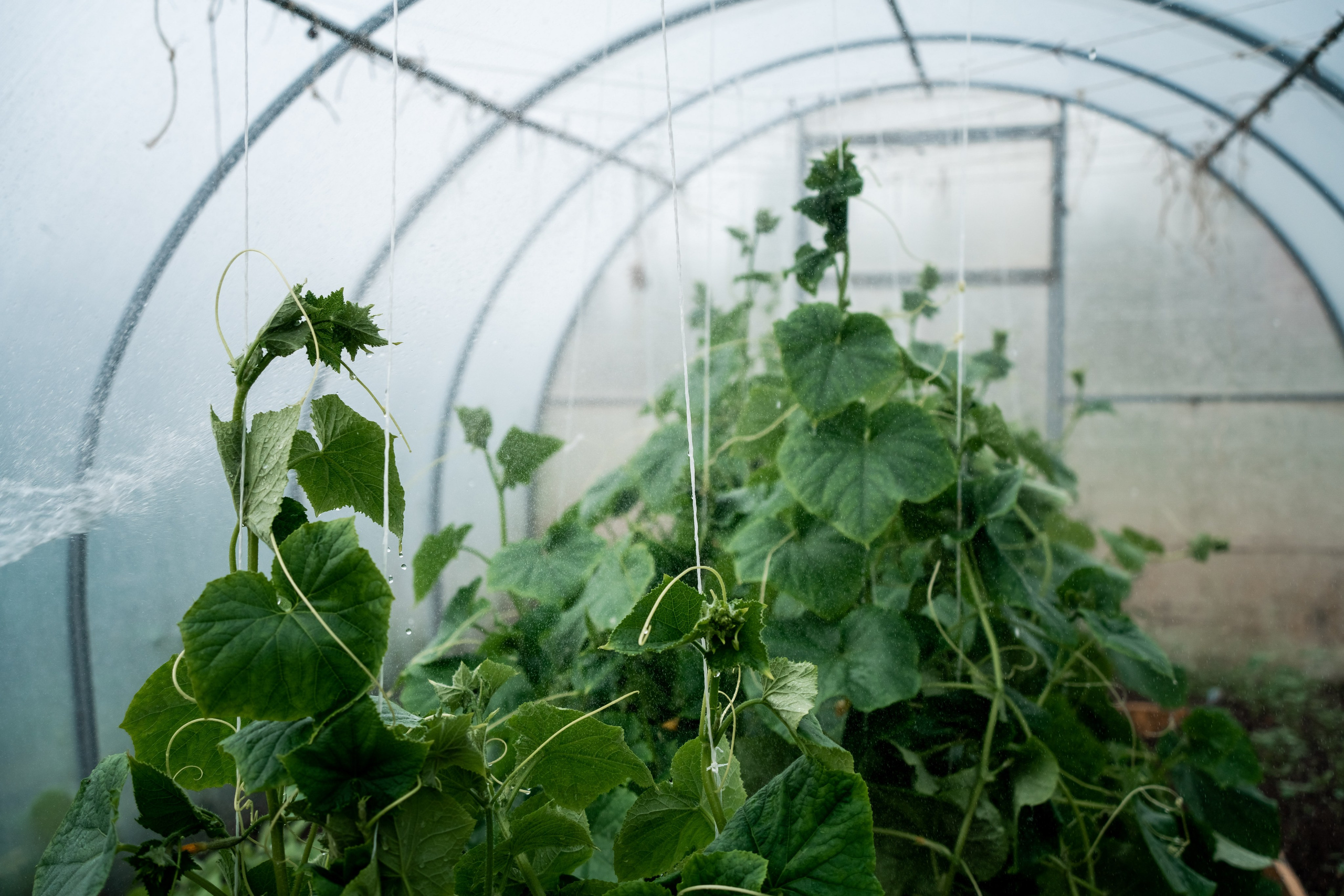 Куракинская керамика. Event фотограф Степанова Александра