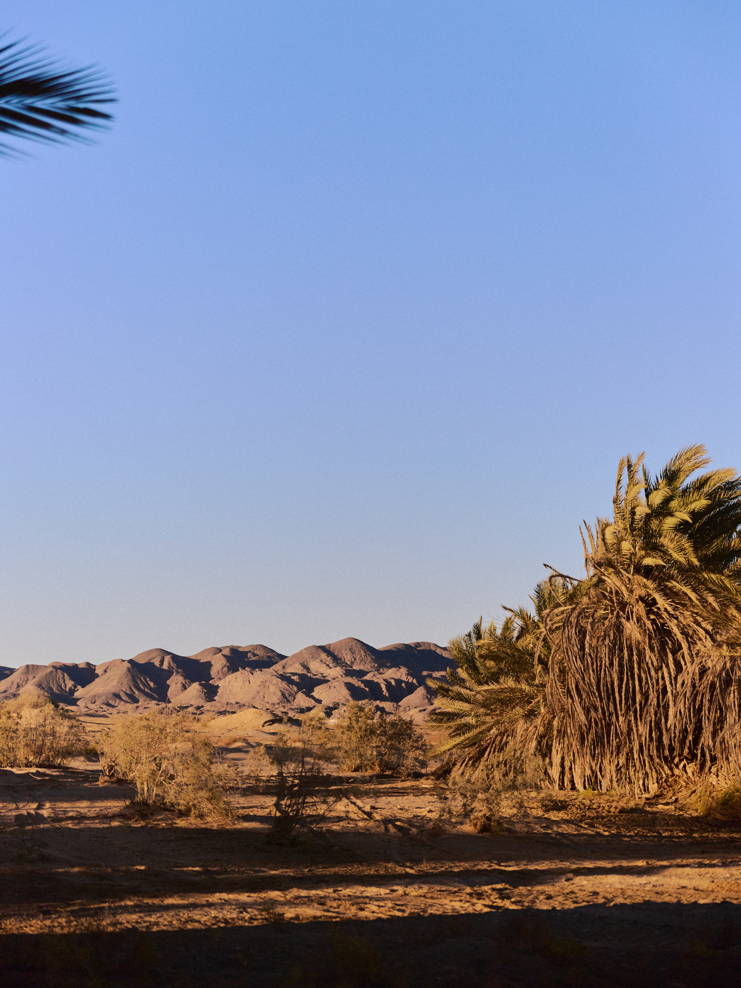 El-malacha (Оазис). Jorgis — фотограф в Хургаде / обучение фотографии