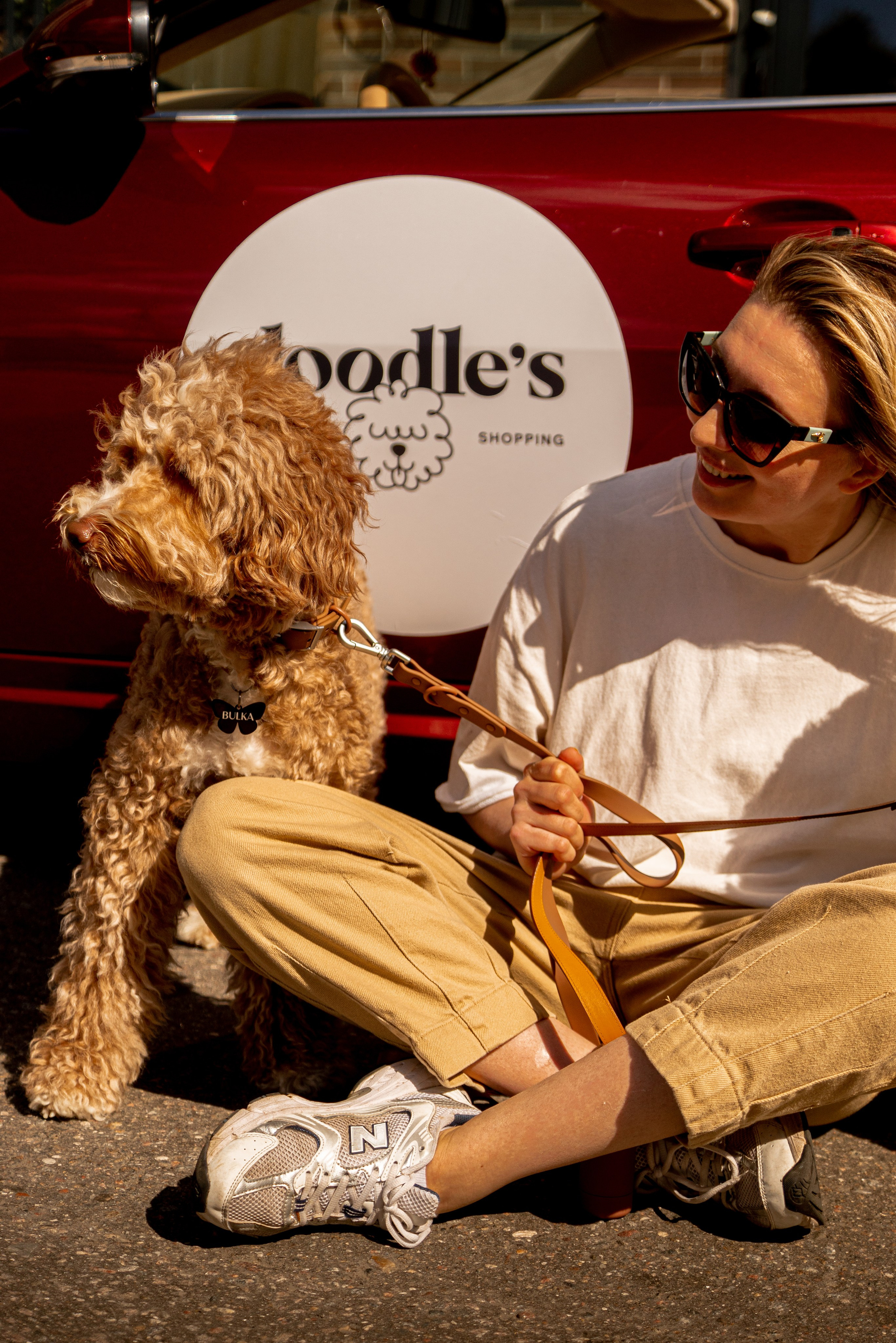 Фотосъемка груминг салона , съемка собак в кабриолете. Жуков Илья свадебный фотограф в Москве