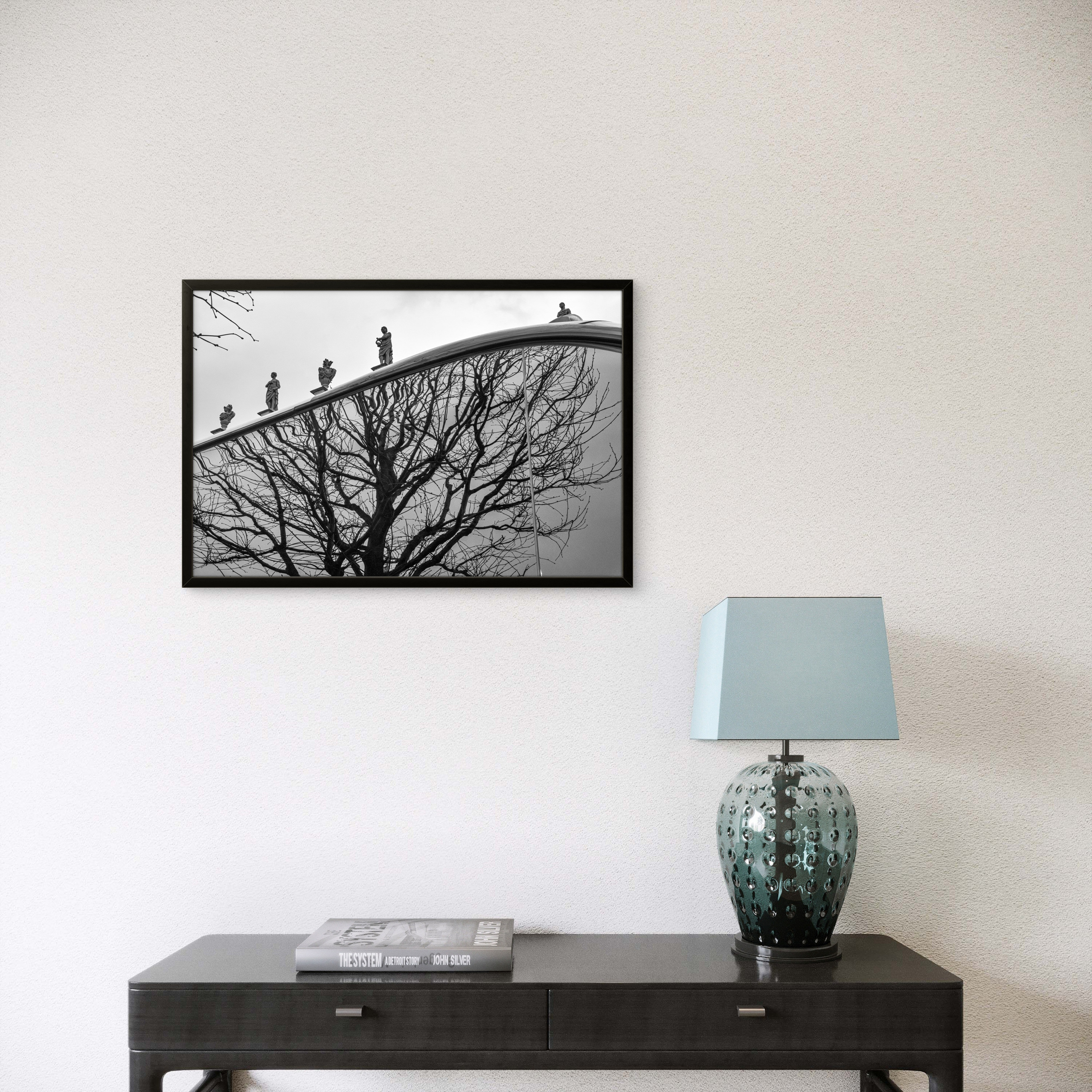 Order. Dimitri Bakhtadze photographer