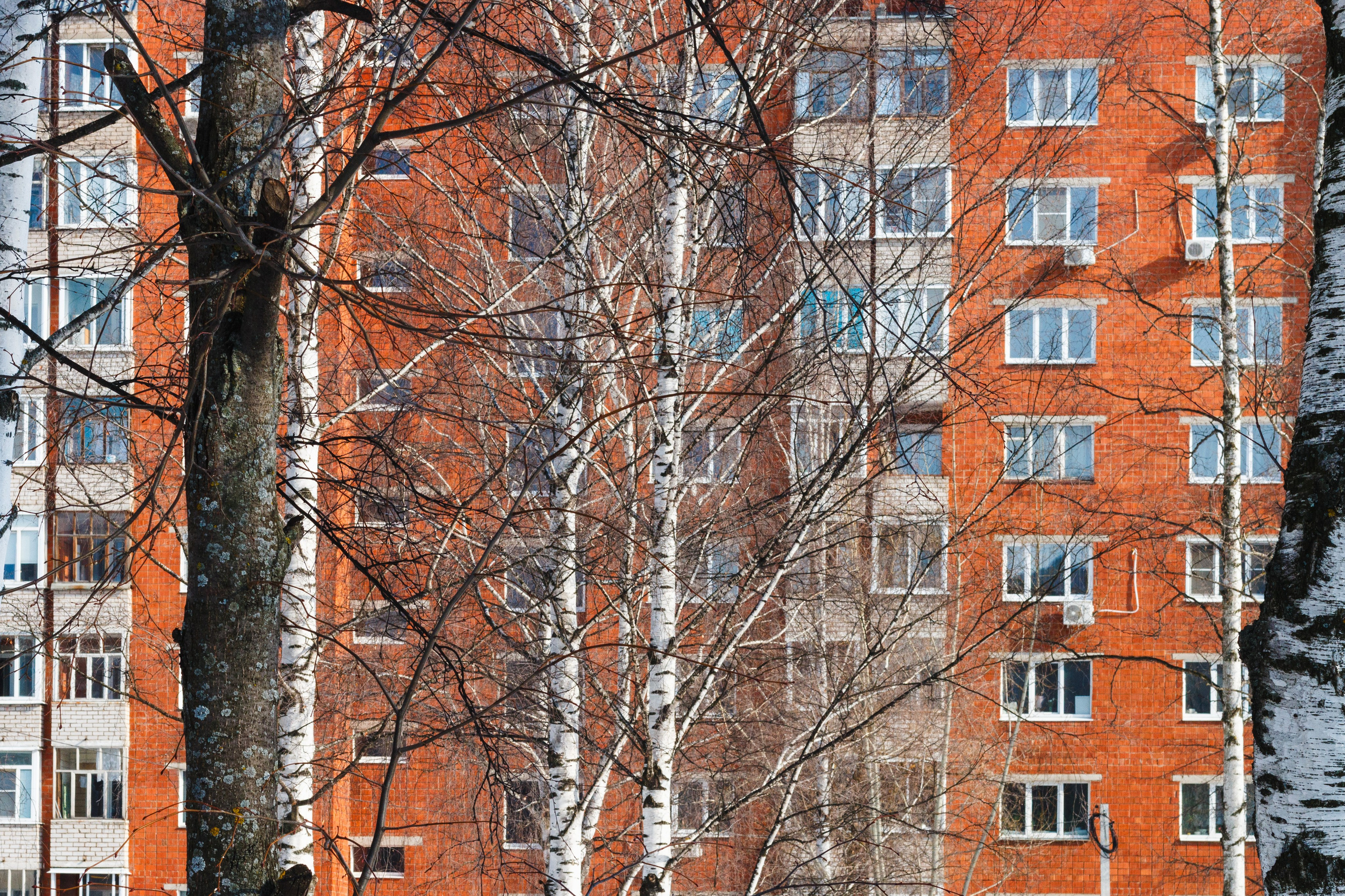 Родные узоры. Россия. Олег Романов. Мастер фото по спорту