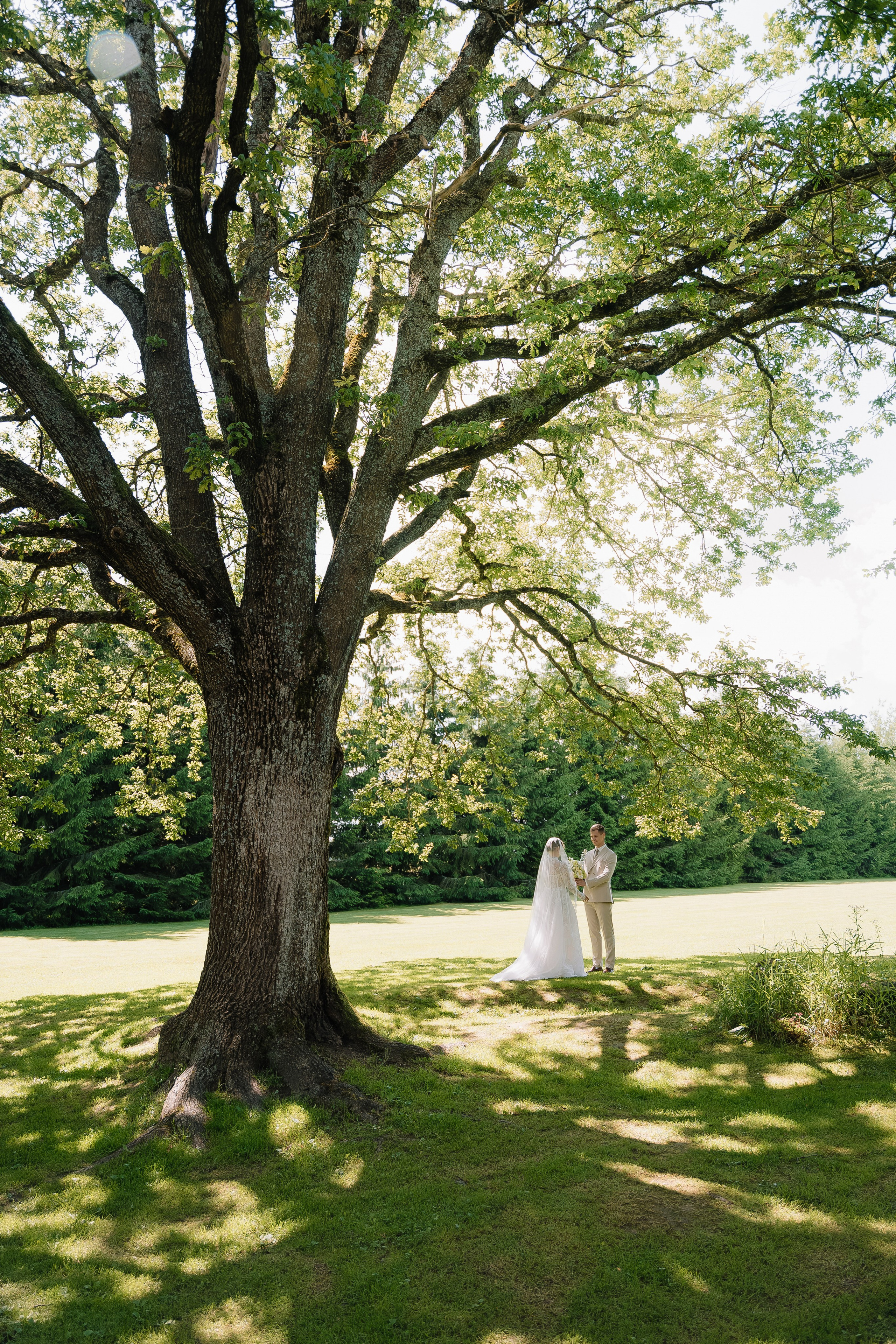 Новая глава кривой. Свадебный Фотограф Минск || Фото и Видеосъёмка Минск || Другие города