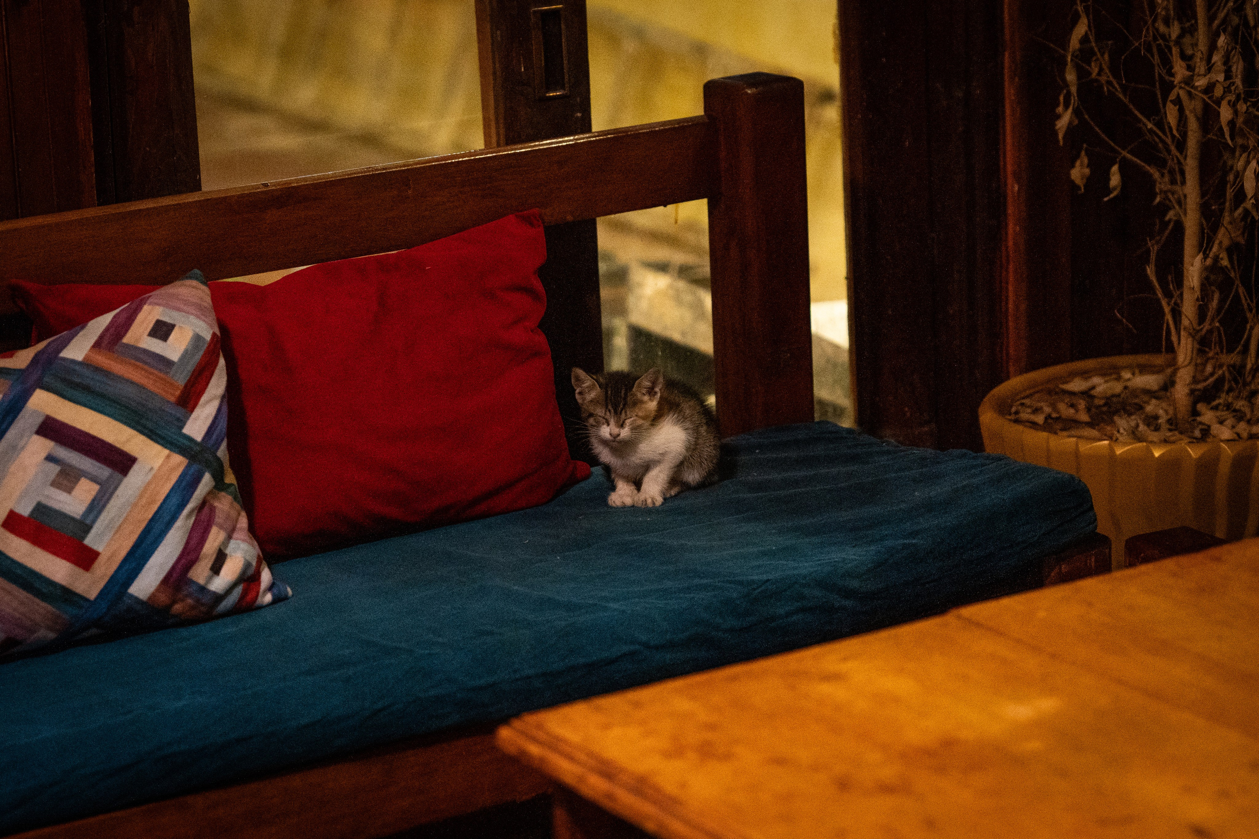 Марокко. Илья Варин — Фотограф Москва, Тверь