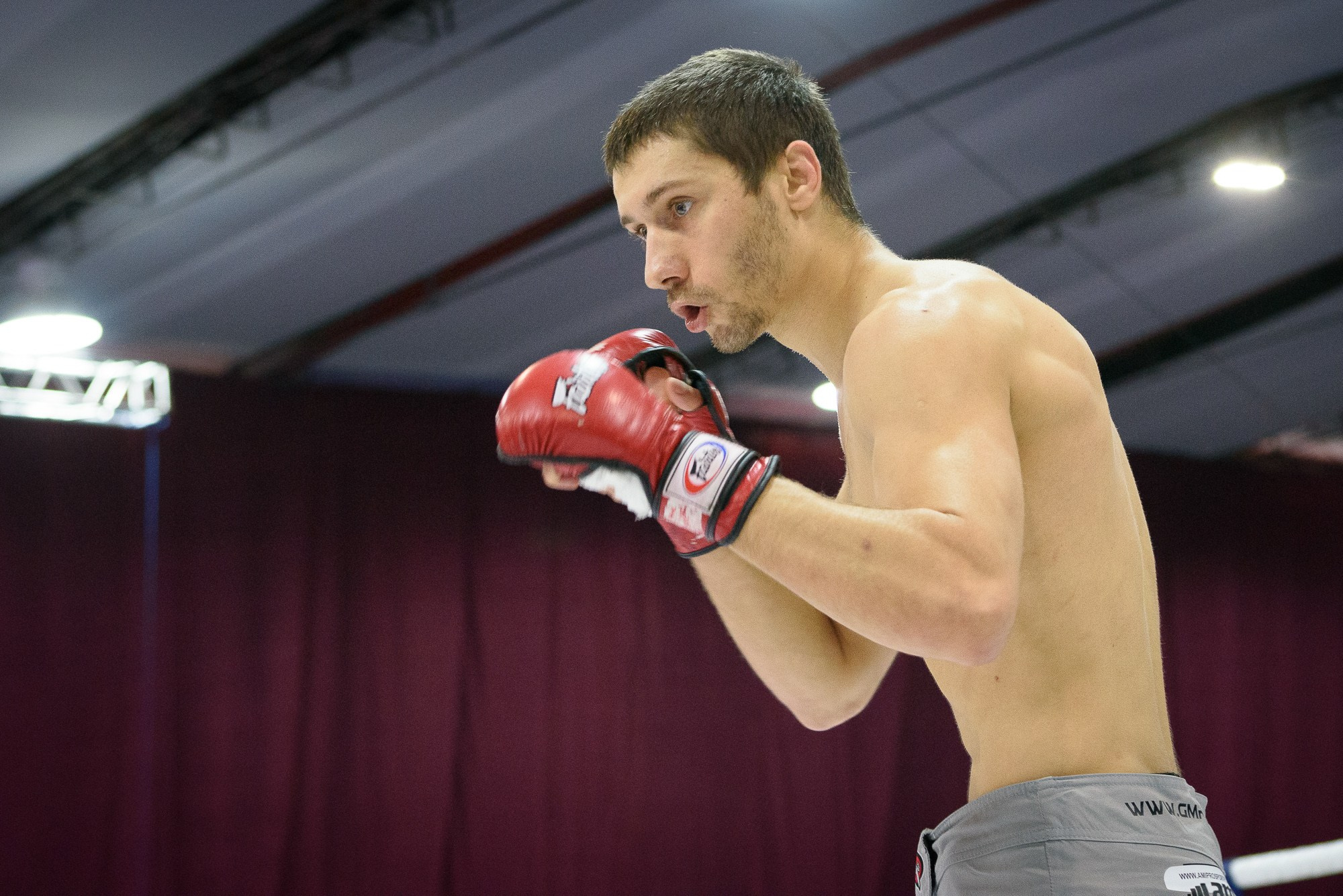 Кубок России по MMA. Репортажный и концертный фотограф в Волгограде Павел Панько