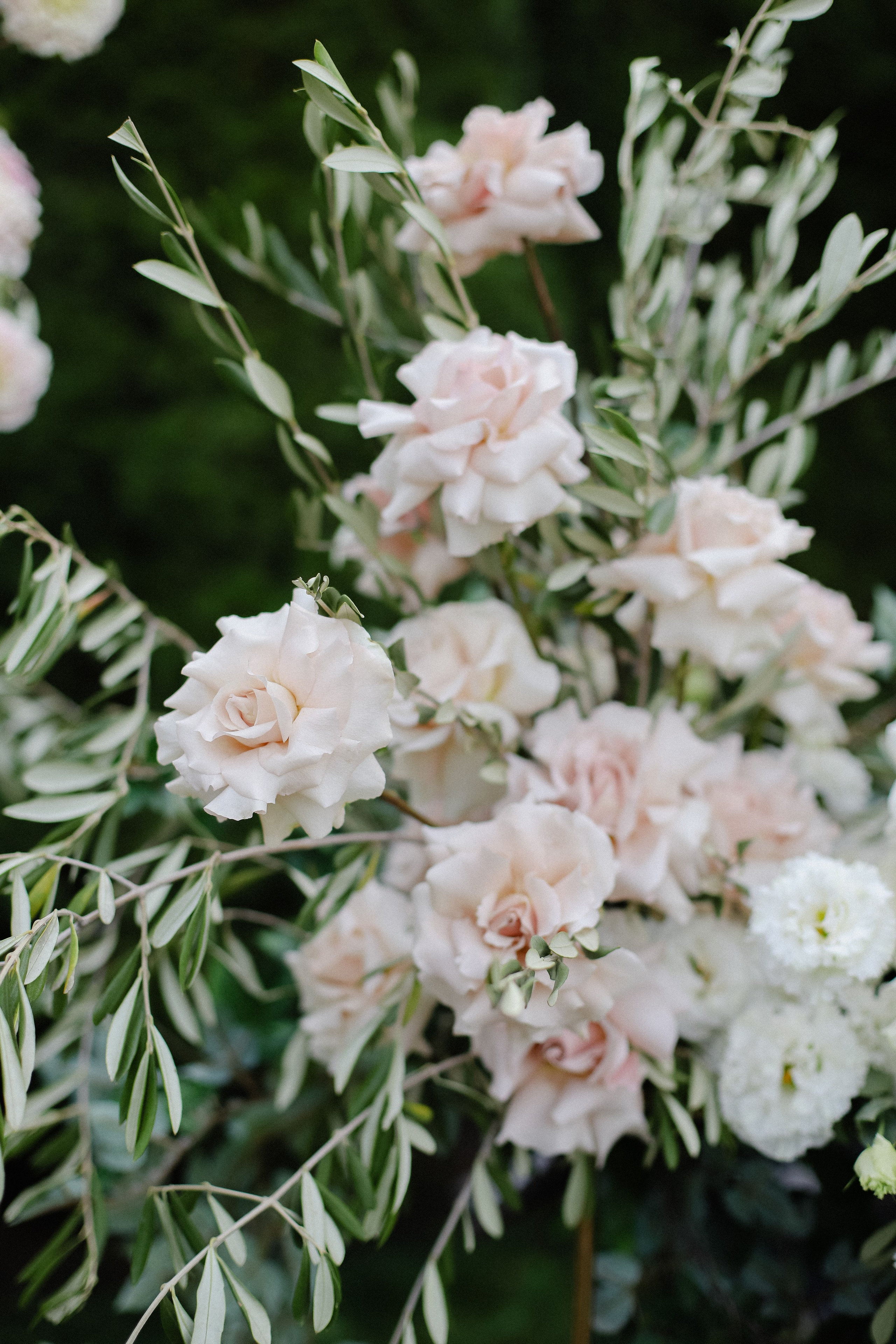 Илья и Анастасия. Фотограф в Алматы и Москве Даша Пушкина