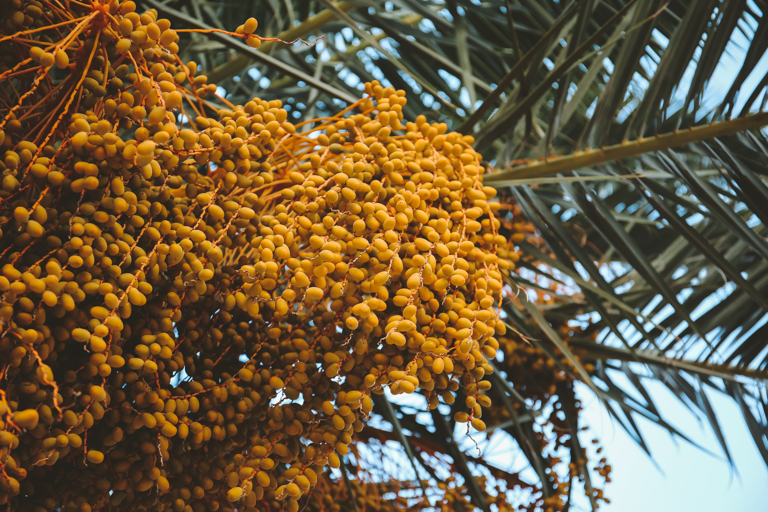 Греция: термальный курорт Лутраки. Дарья Письменюк / Darya Leitstern — фотограф, музыкант, журналист, путешественник
