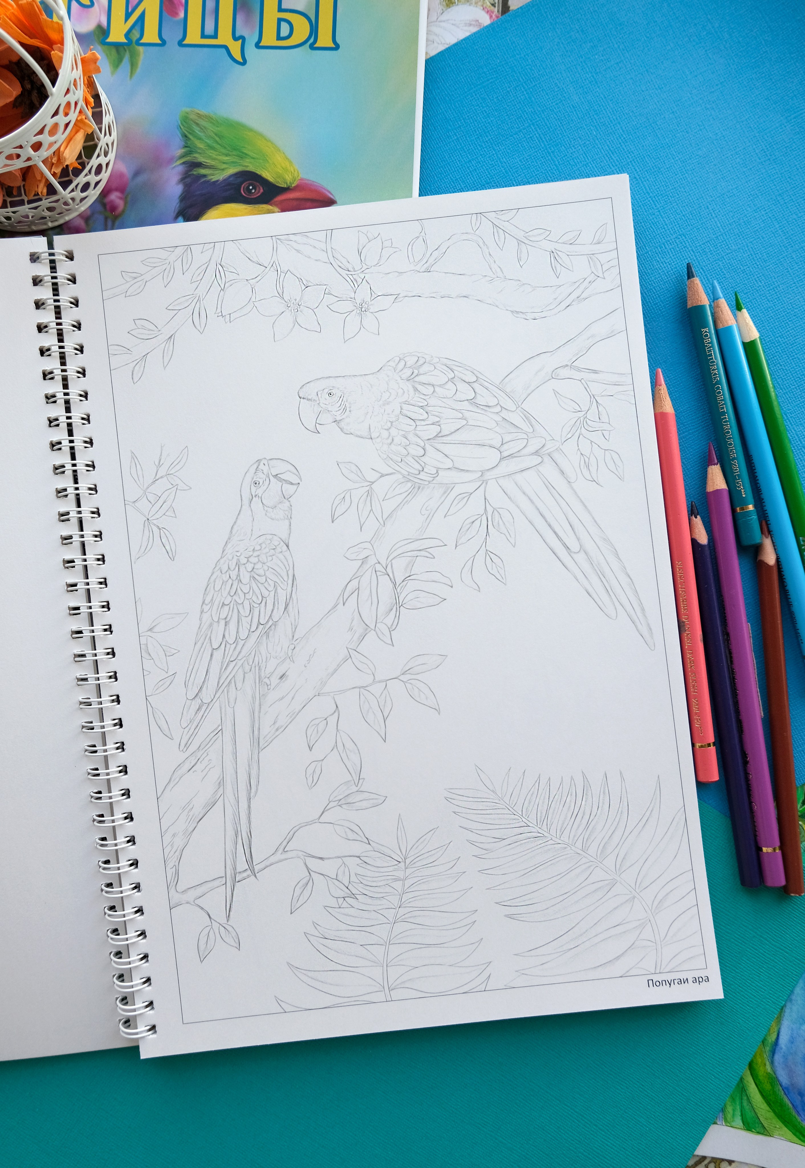 Авторская раскраска от художника Птицы. Раскраски Алёны Лазаревой