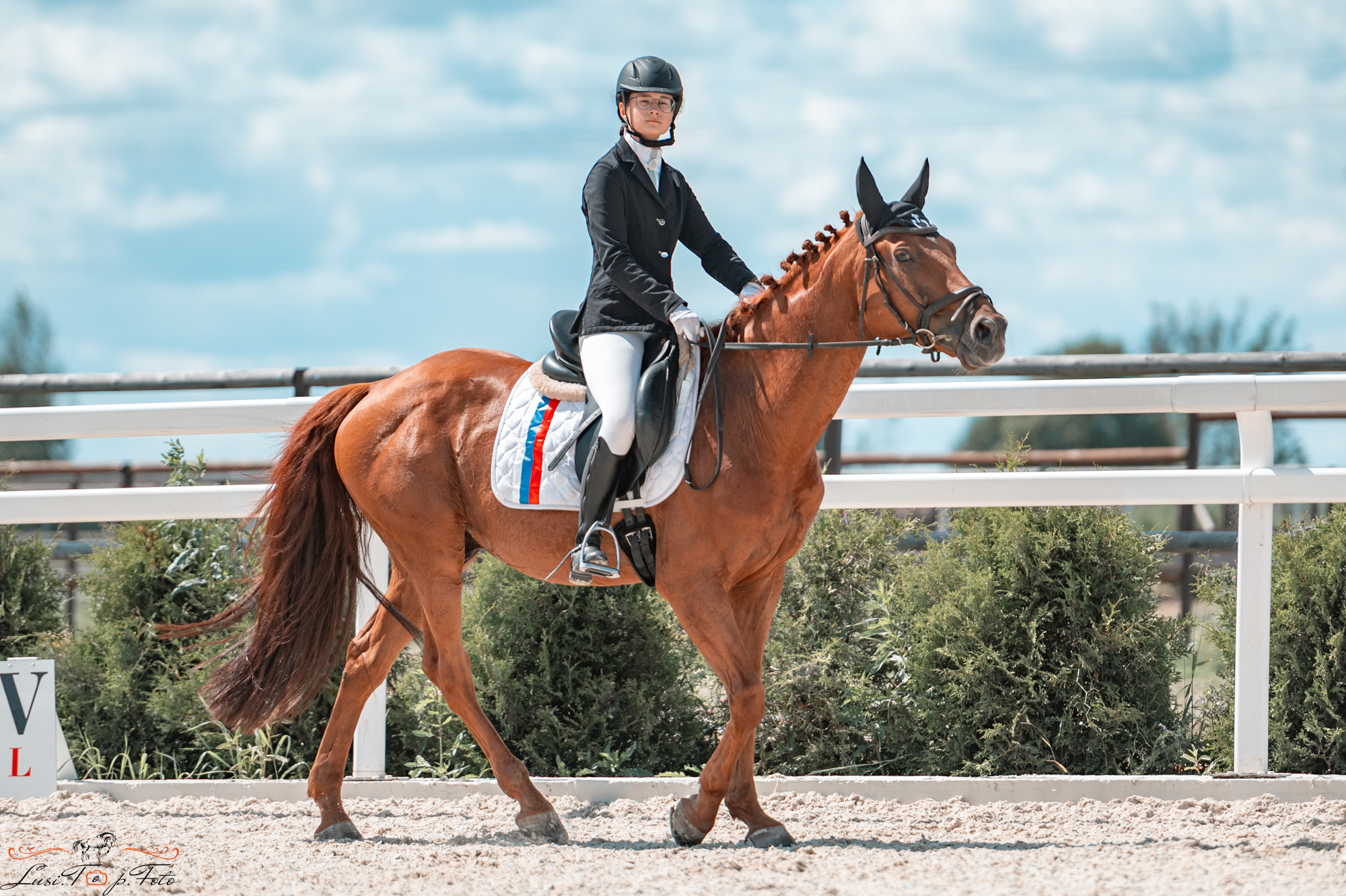 КК Equipark. Соревнования по выездке. Конный и фотограф с животными в Твери Топталова Люся