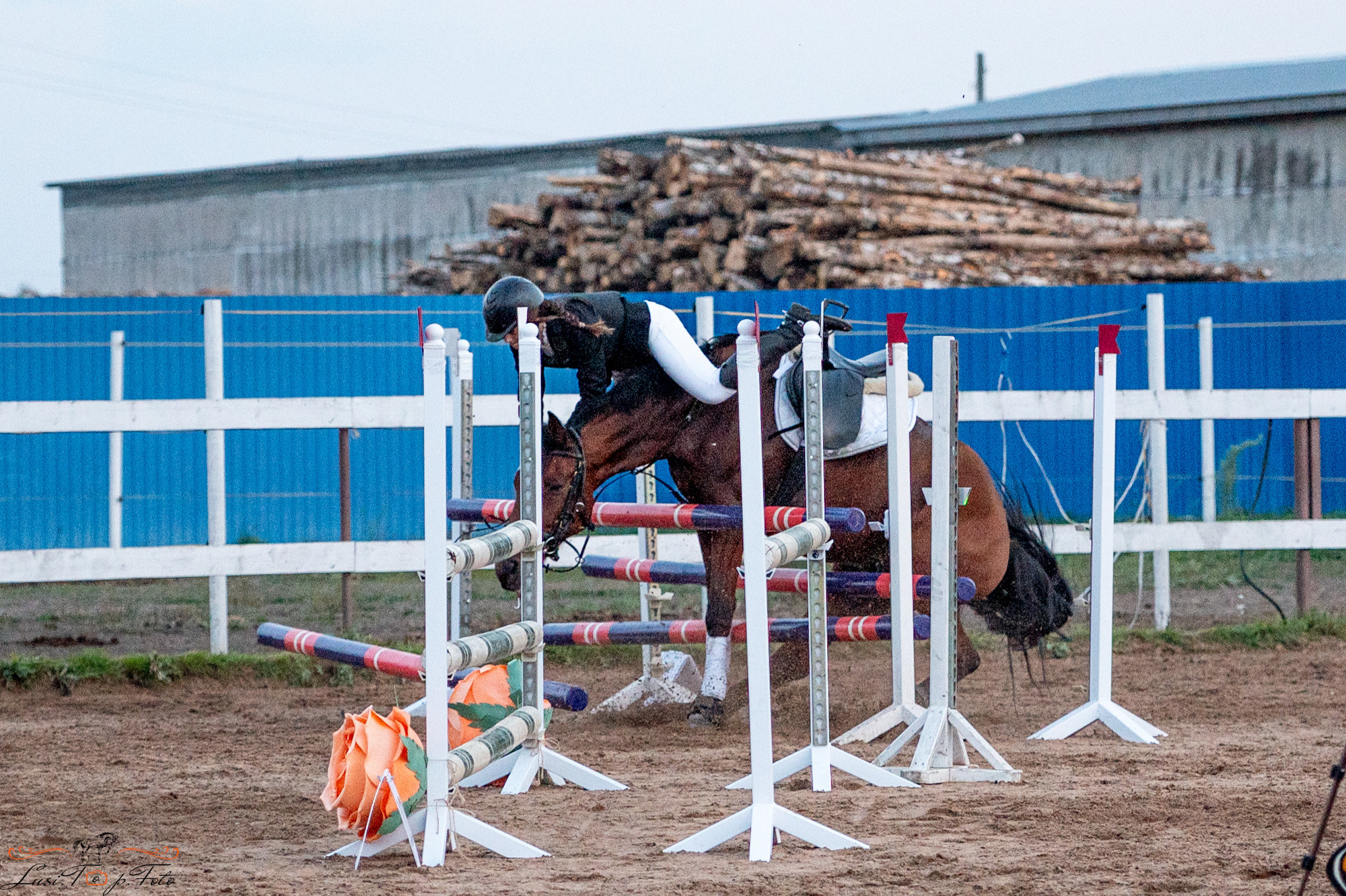 Осенний конкур в КК Резвая. Конный и фотограф с животными в Твери Топталова Люся