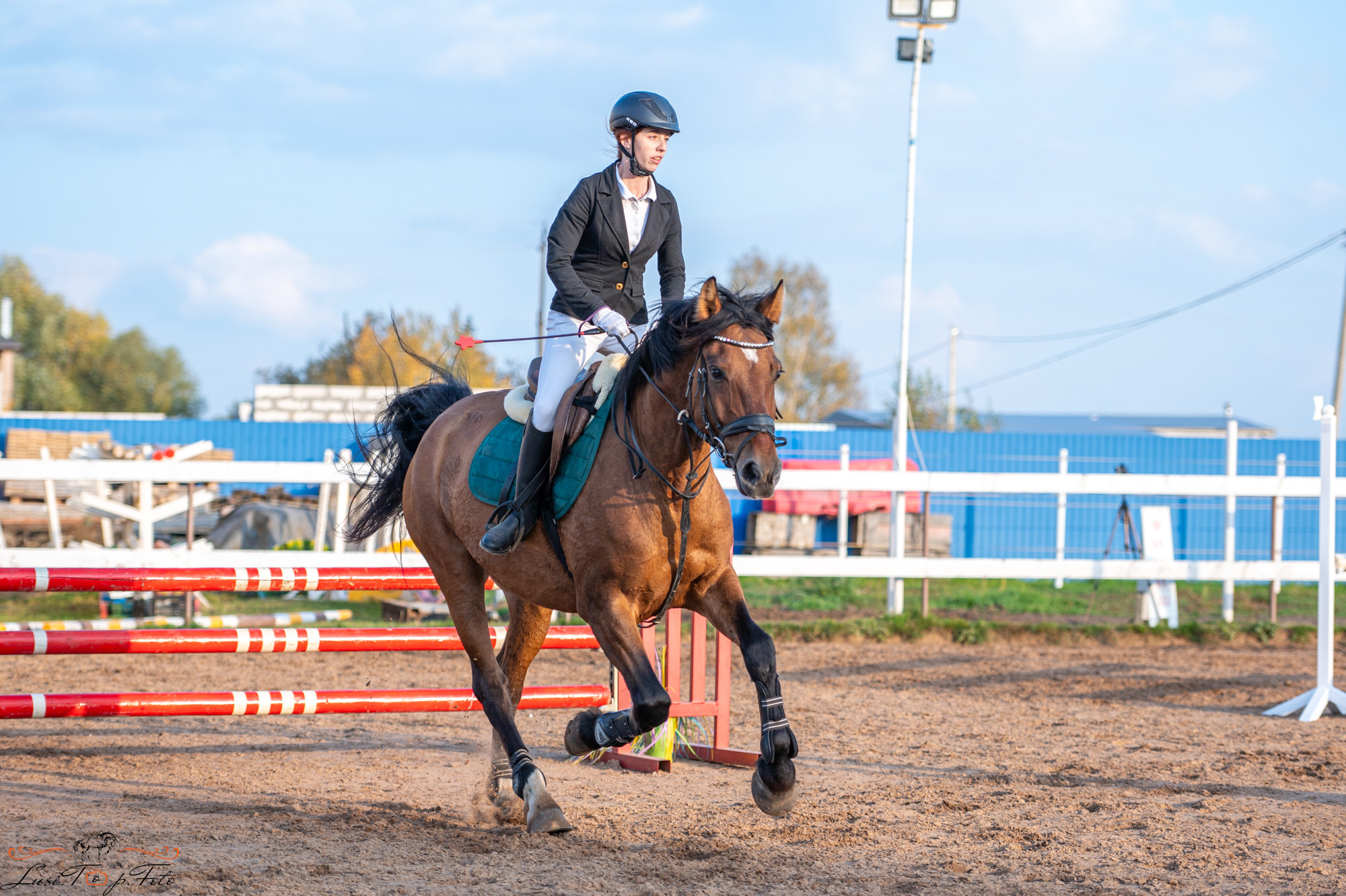 Осенний конкур в КК Резвая. Конный и фотограф с животными в Твери Топталова Люся