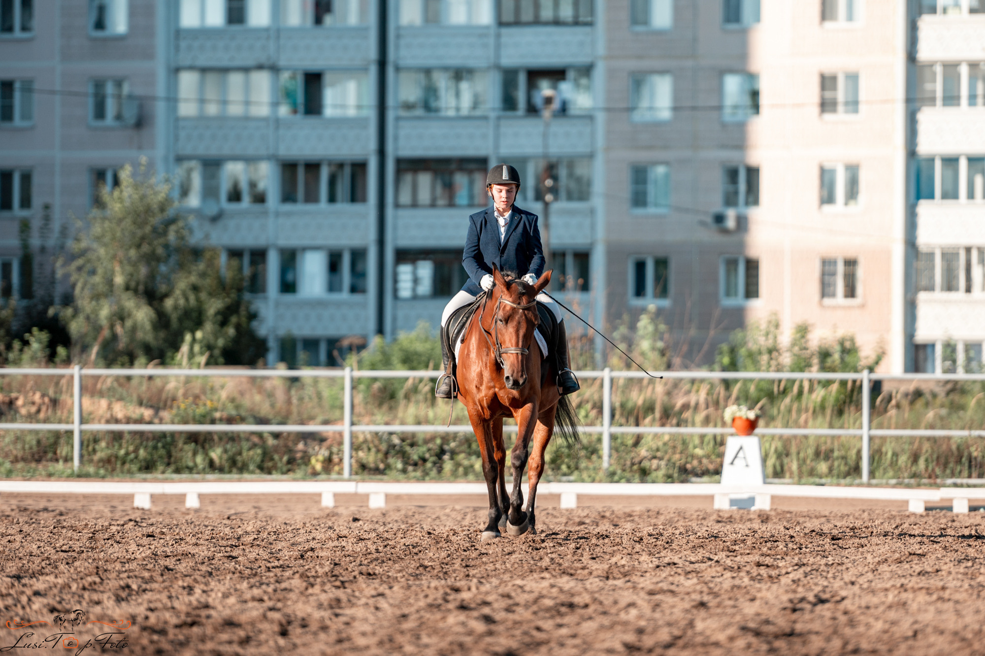 Чемпионат и Первенство Тверской области по выездке. Конный и фотограф с животными в Твери Топталова Люся