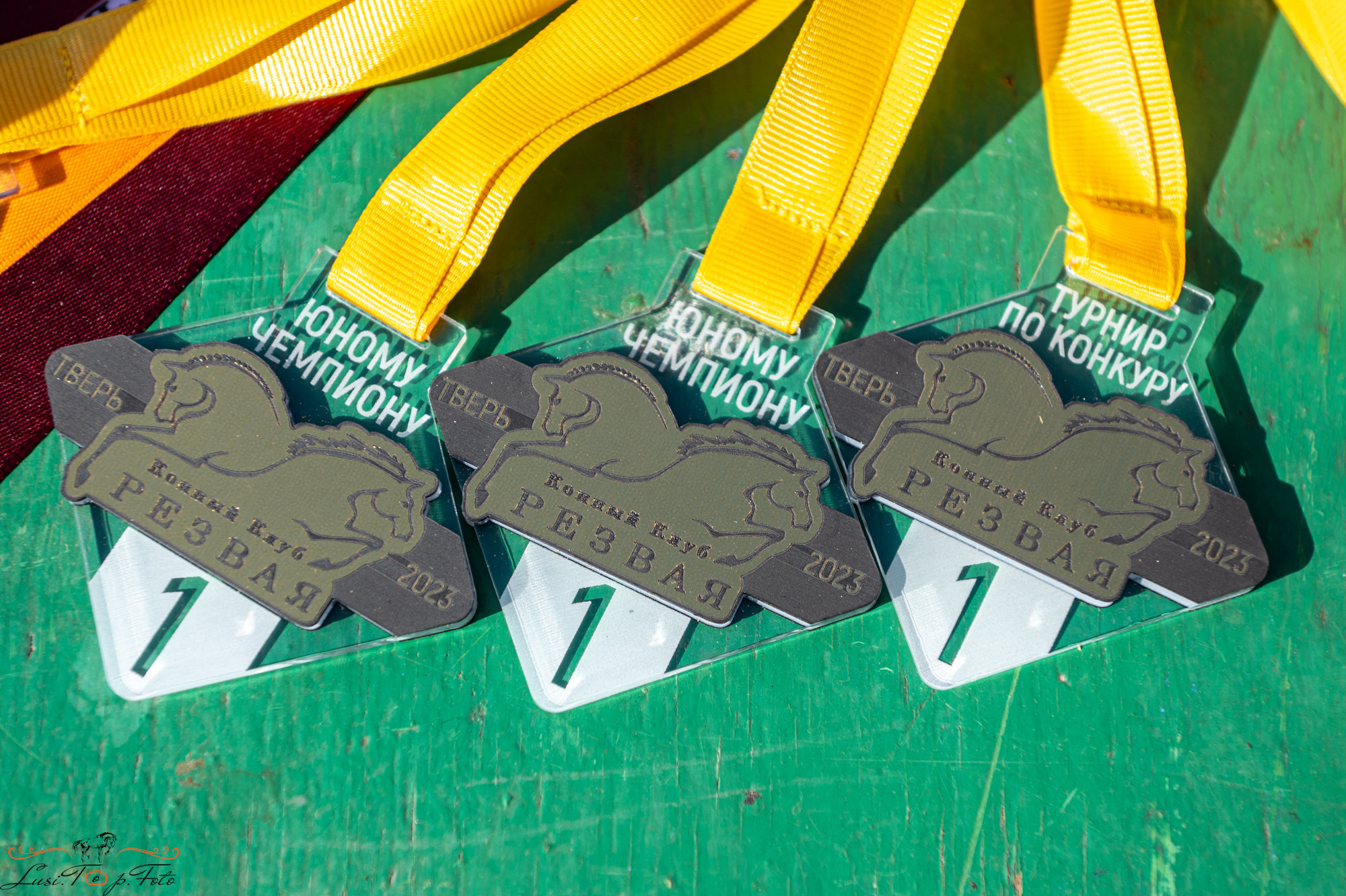 Осенний конкур в КК Резвая. Конный и фотограф с животными в Твери Топталова Люся