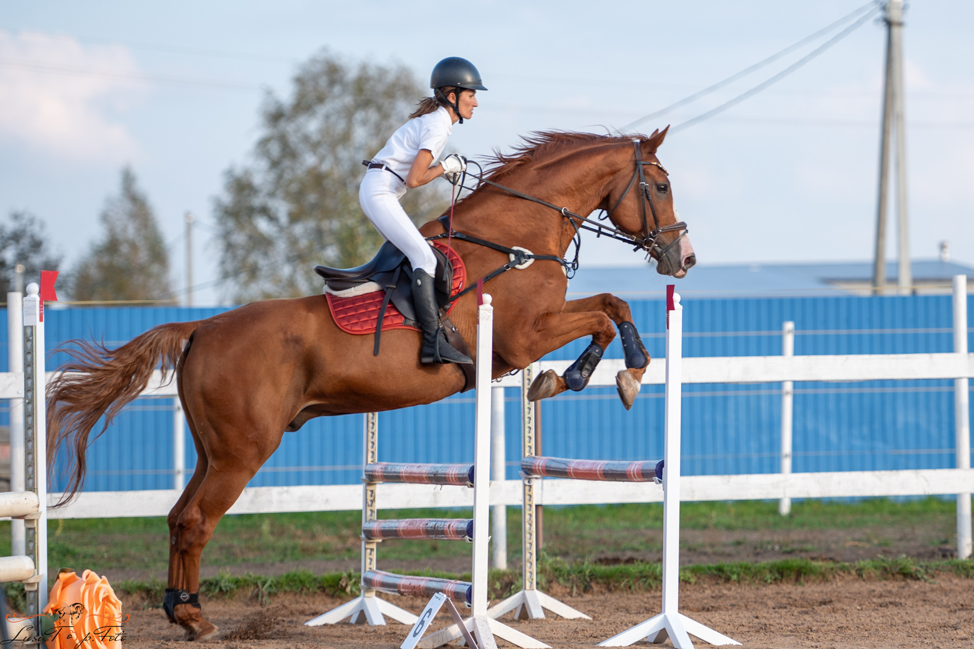 Осенний конкур в КК Резвая. Конный и фотограф с животными в Твери Топталова Люся
