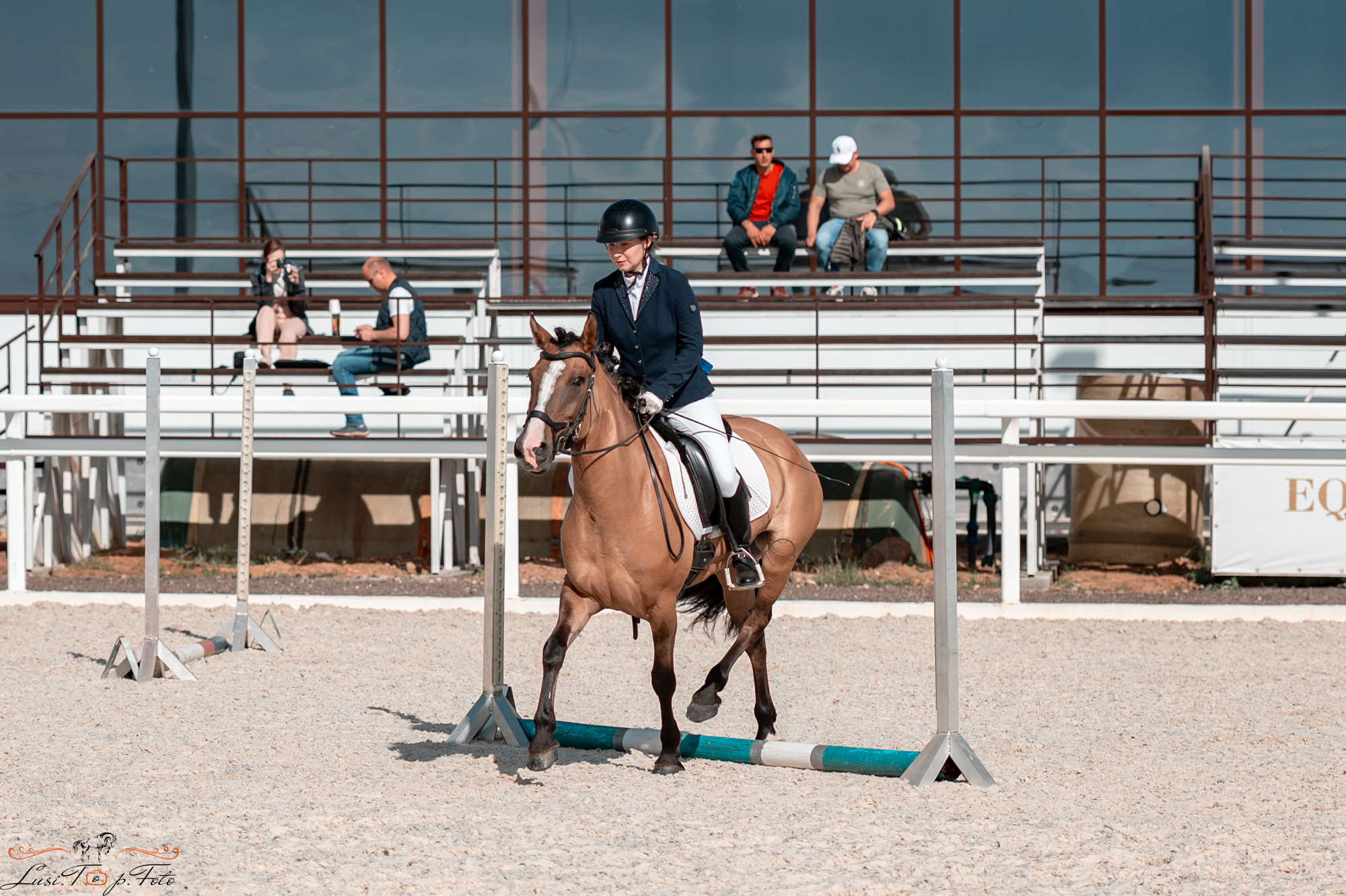 КК Equipark. Соревнования по выездке. Конный и фотограф с животными в Твери Топталова Люся