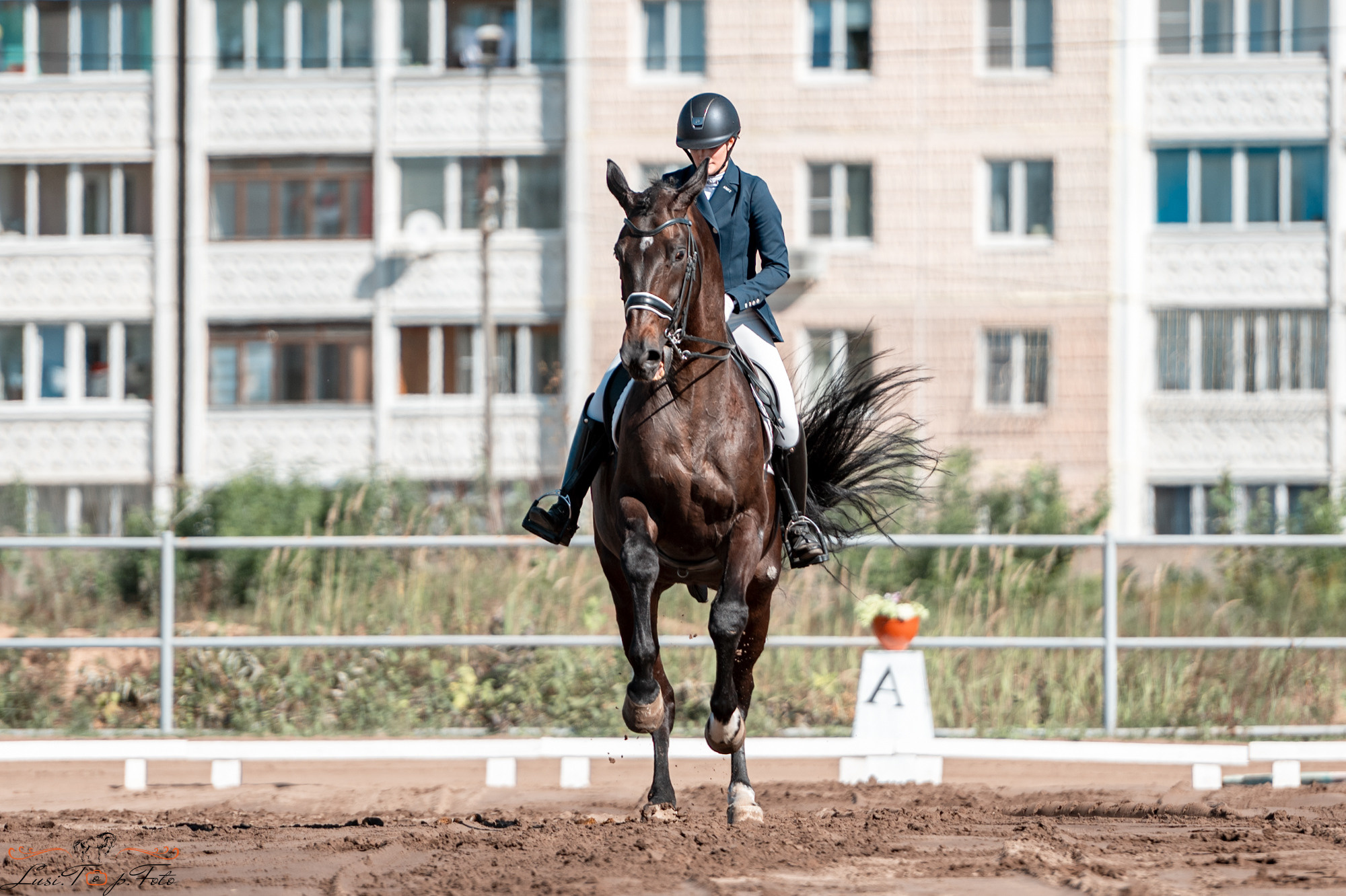 Чемпионат и Первенство Тверской области по выездке. Конный и фотограф с животными в Твери Топталова Люся