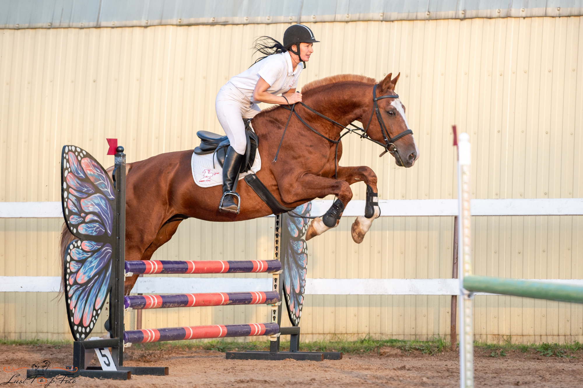 Осенний конкур в КК Резвая. Конный и фотограф с животными в Твери Топталова Люся