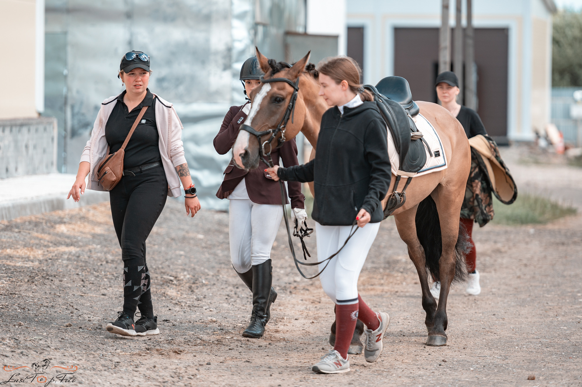 КК Equipark. Соревнования по выездке. Конный и фотограф с животными в Твери Топталова Люся