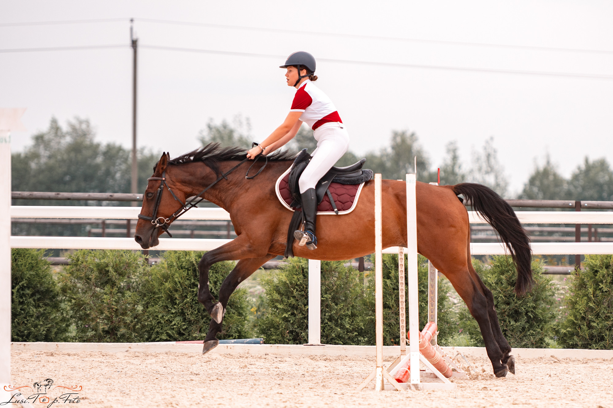 Конкур Equipark. Конный и фотограф с животными в Твери Топталова Люся