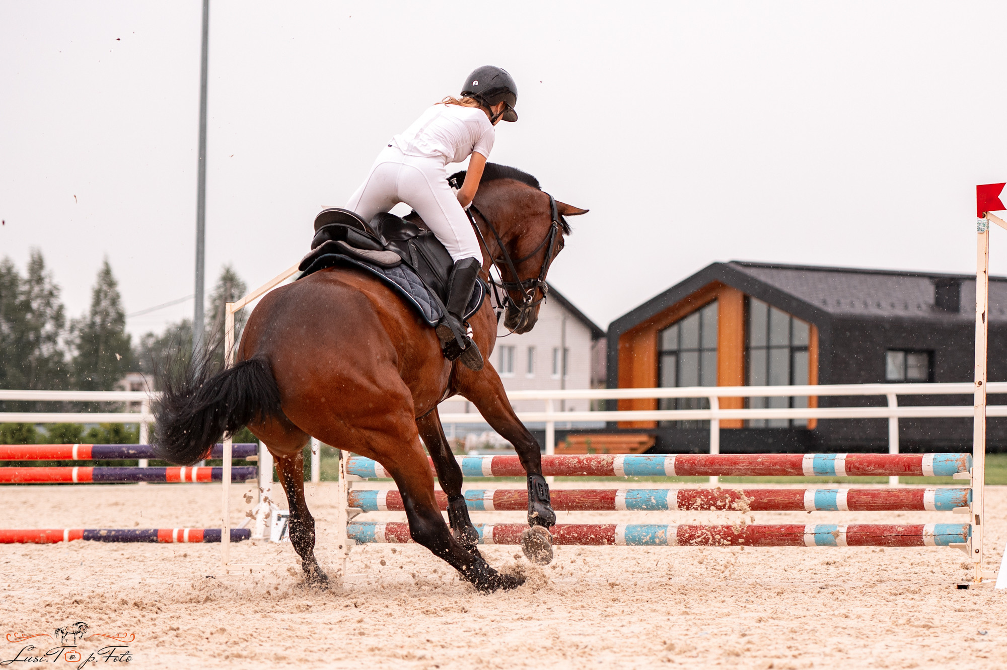 Конкур Equipark. Конный и фотограф с животными в Твери Топталова Люся