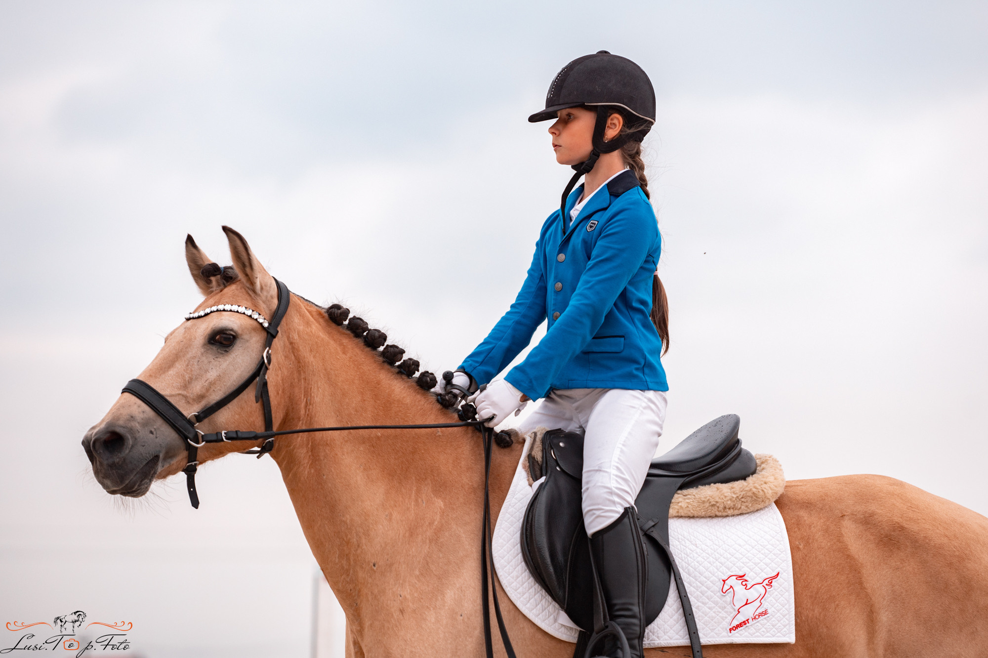 Конкур Equipark. Конный и фотограф с животными в Твери Топталова Люся