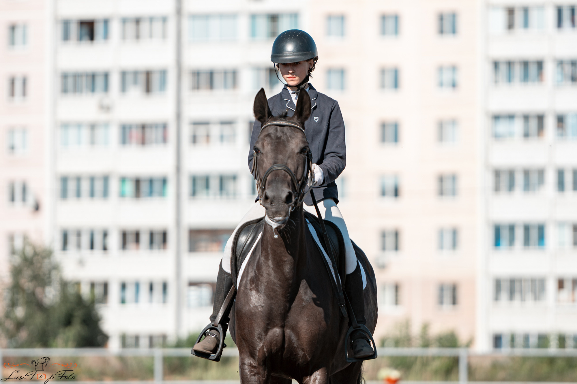 Чемпионат и Первенство Тверской области по выездке. Конный и фотограф с животными в Твери Топталова Люся