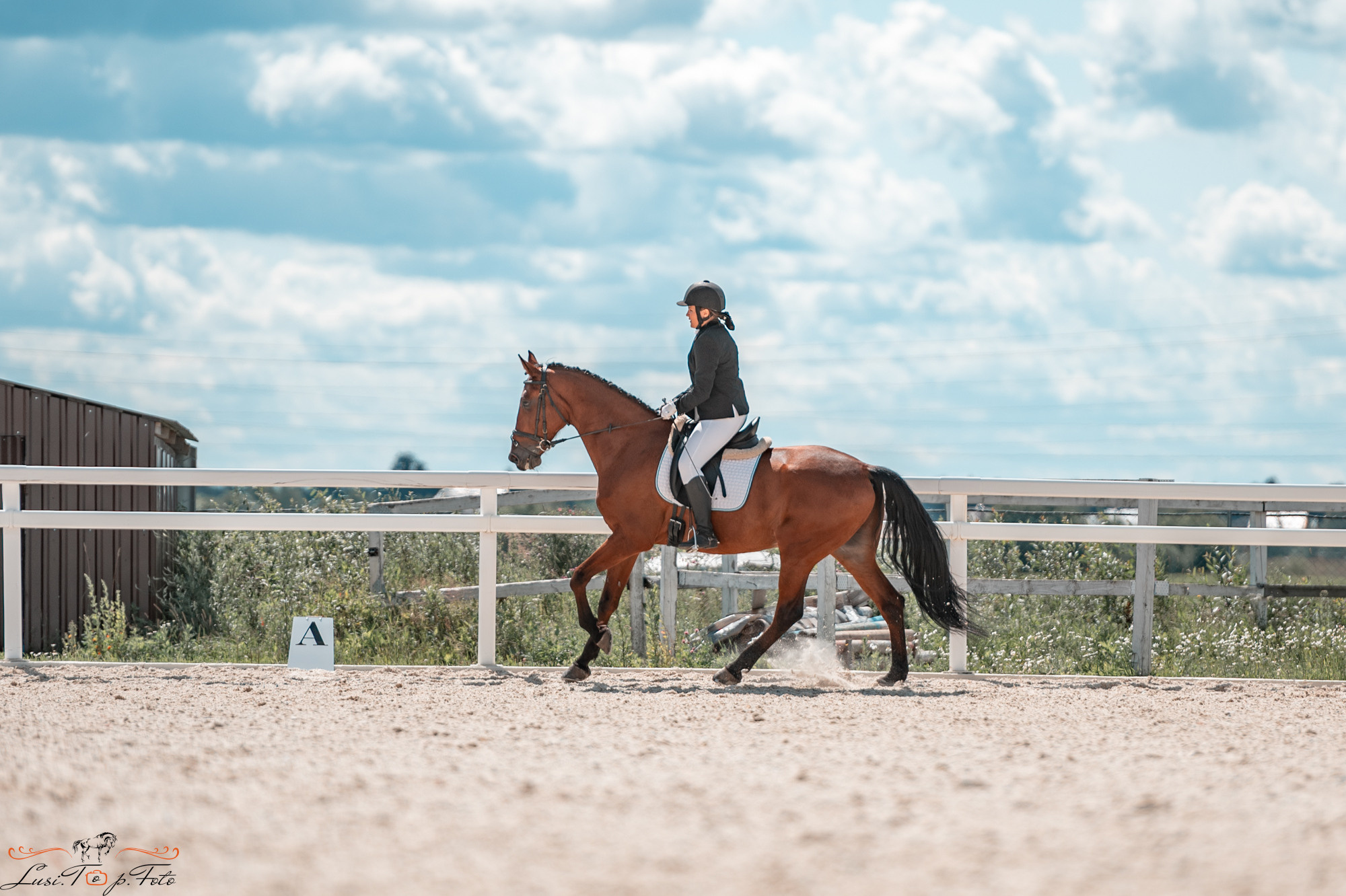 КК Equipark. Соревнования по выездке. Конный и фотограф с животными в Твери Топталова Люся