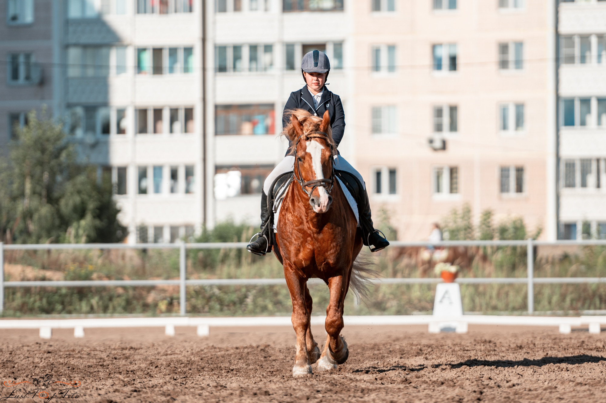 Чемпионат и Первенство Тверской области по выездке. Конный и фотограф с животными в Твери Топталова Люся