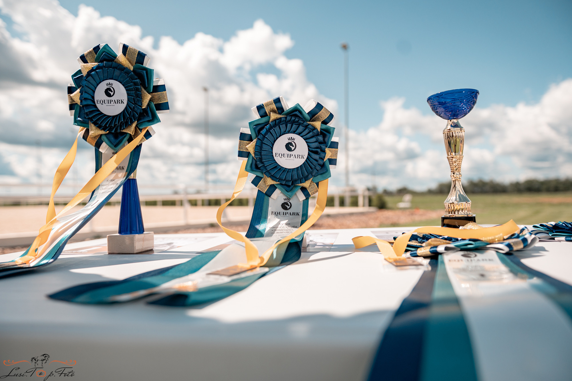 КК Equipark. Соревнования по выездке. Конный и фотограф с животными в Твери Топталова Люся