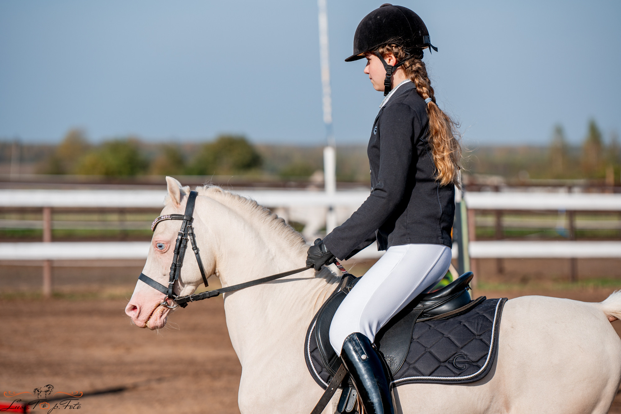Осенний конкур в КК Резвая. Конный и фотограф с животными в Твери Топталова Люся
