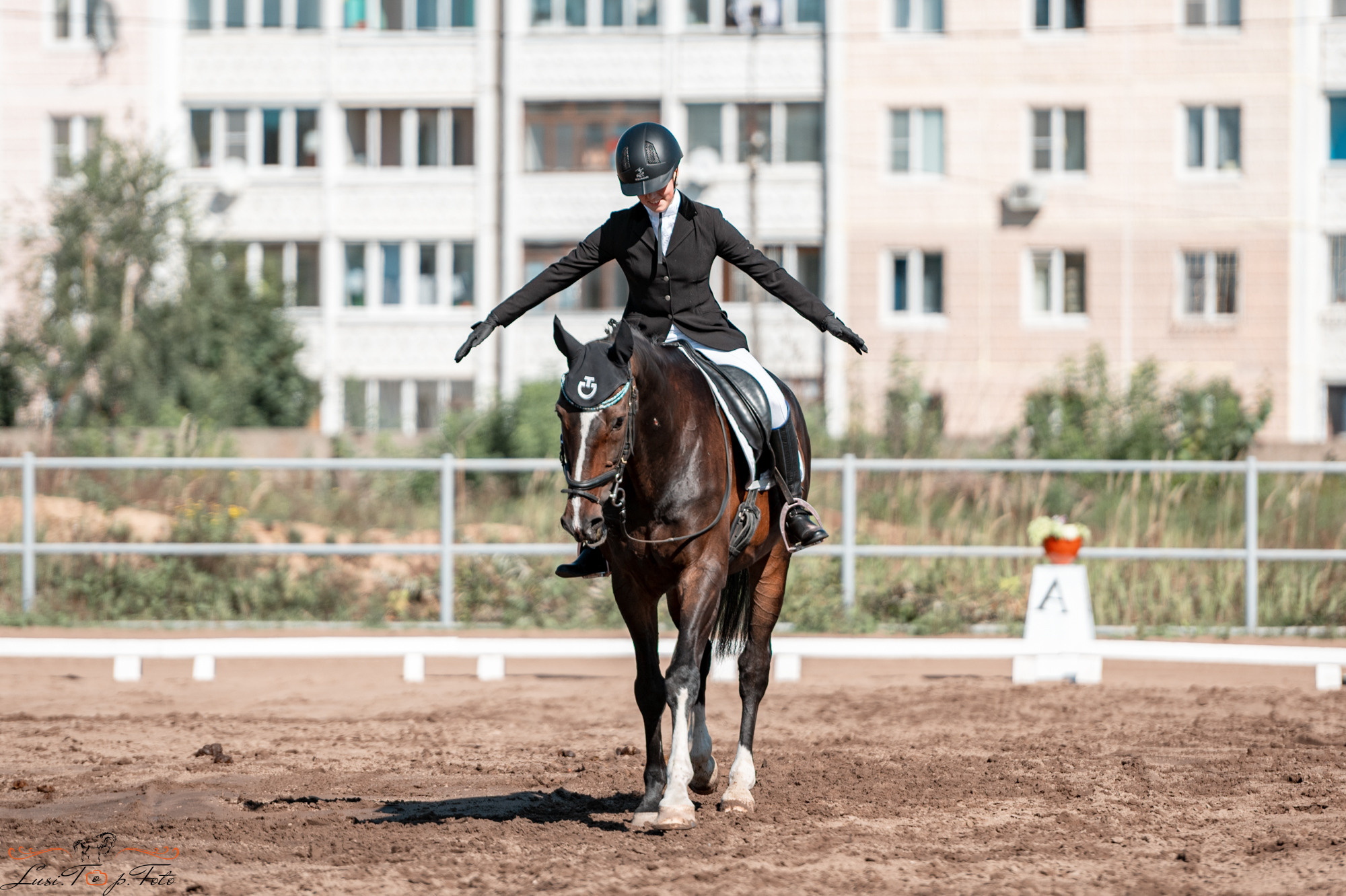 Чемпионат и Первенство Тверской области по выездке. Конный и фотограф с животными в Твери Топталова Люся