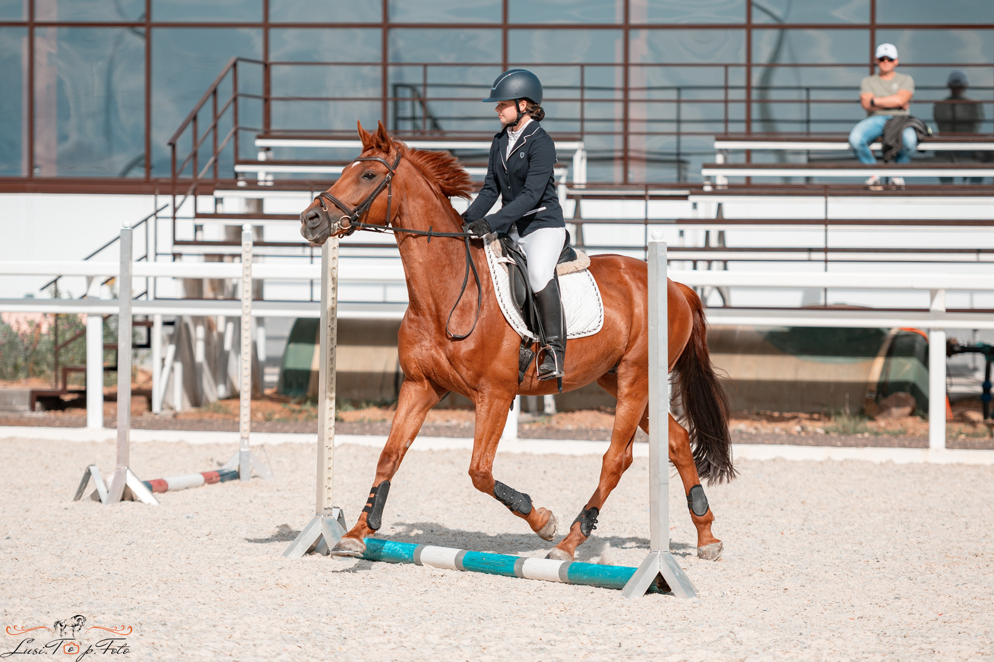 КК Equipark. Соревнования по выездке. Конный и фотограф с животными в Твери Топталова Люся