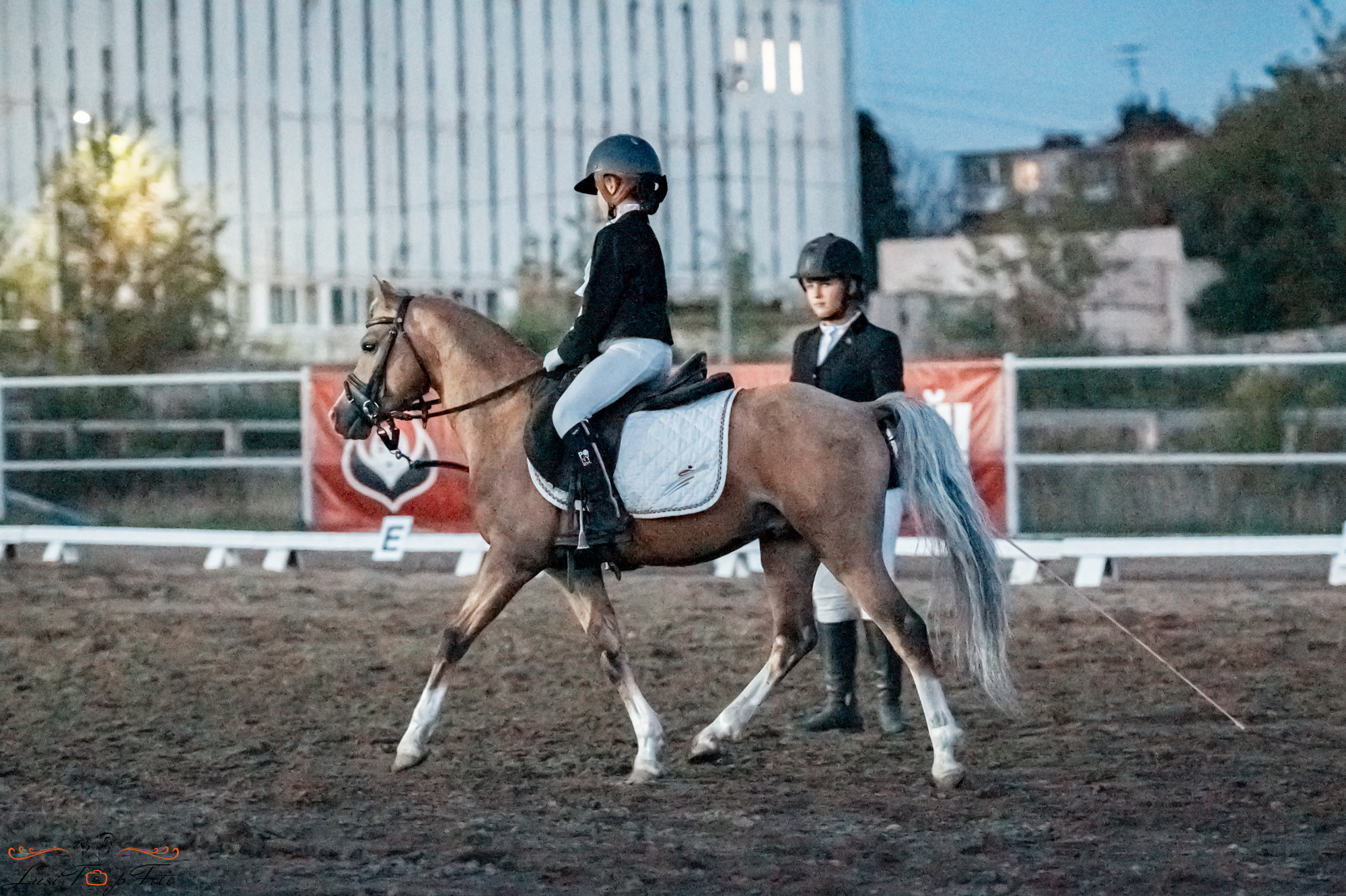 Чемпионат и Первенство Тверской области по выездке. Конный и фотограф с животными в Твери Топталова Люся
