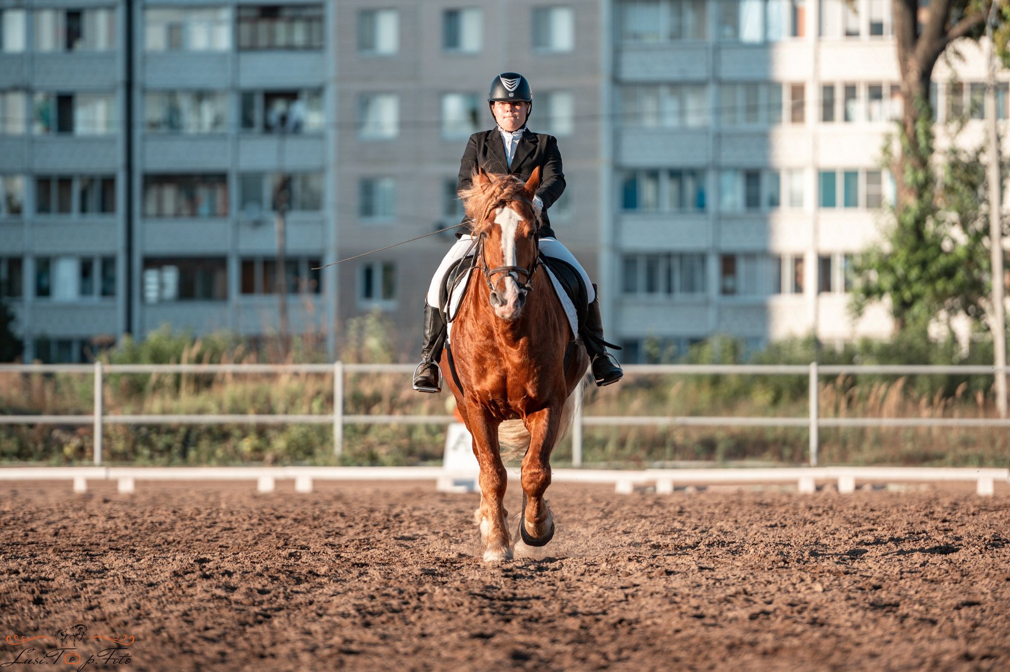 Чемпионат и Первенство Тверской области по выездке. Конный и фотограф с животными в Твери Топталова Люся