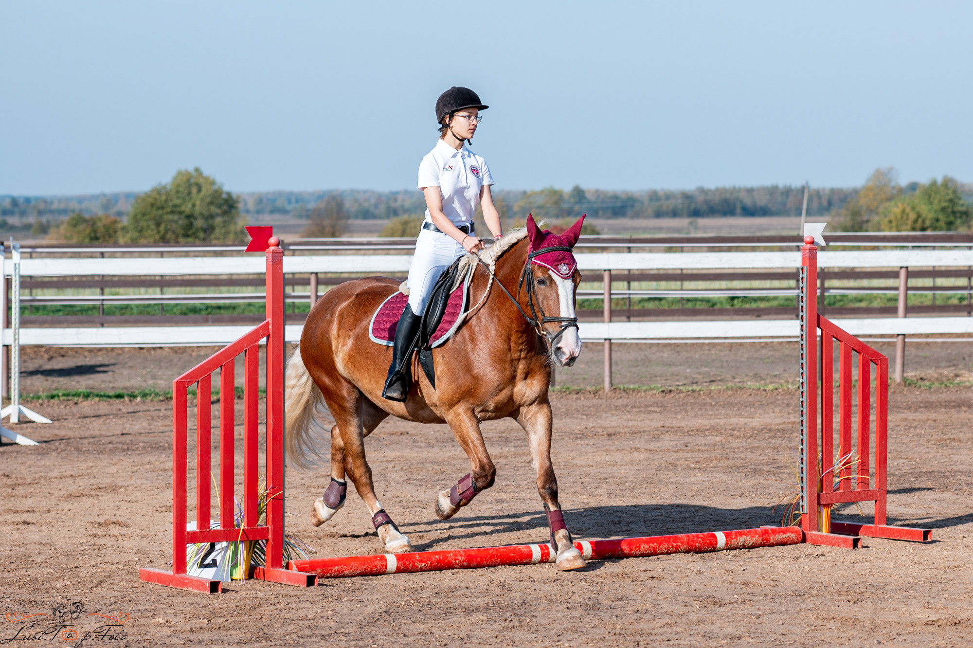 Осенний конкур в КК Резвая. Конный и фотограф с животными в Твери Топталова Люся