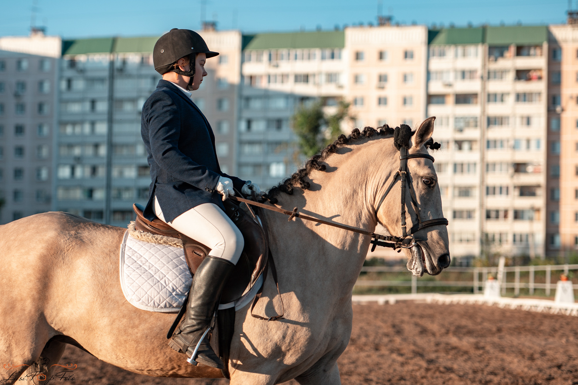 Чемпионат и Первенство Тверской области по выездке. Конный и фотограф с животными в Твери Топталова Люся