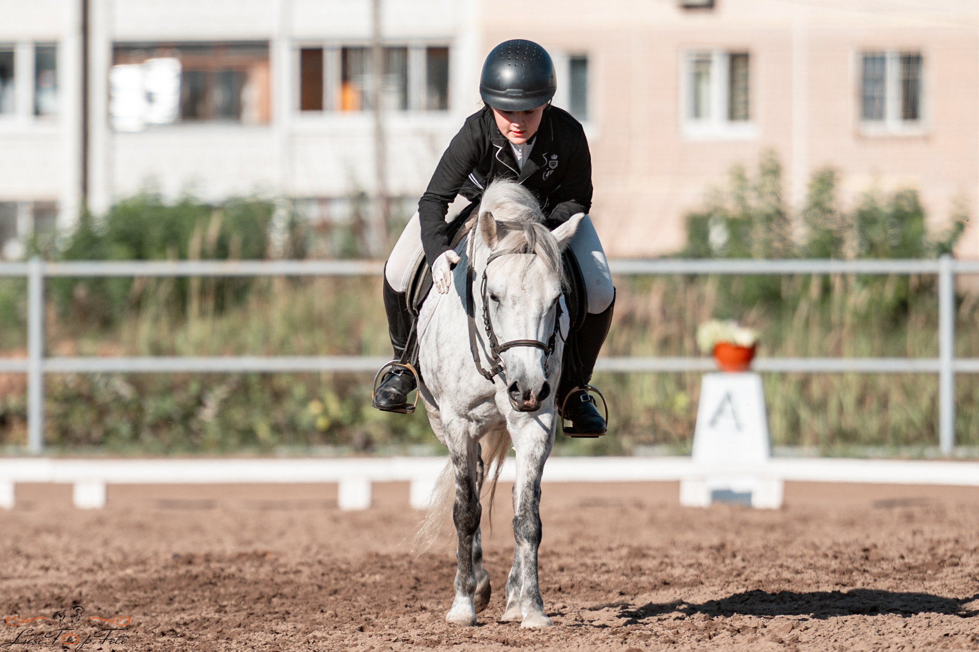 Чемпионат и Первенство Тверской области по выездке. Конный и фотограф с животными в Твери Топталова Люся