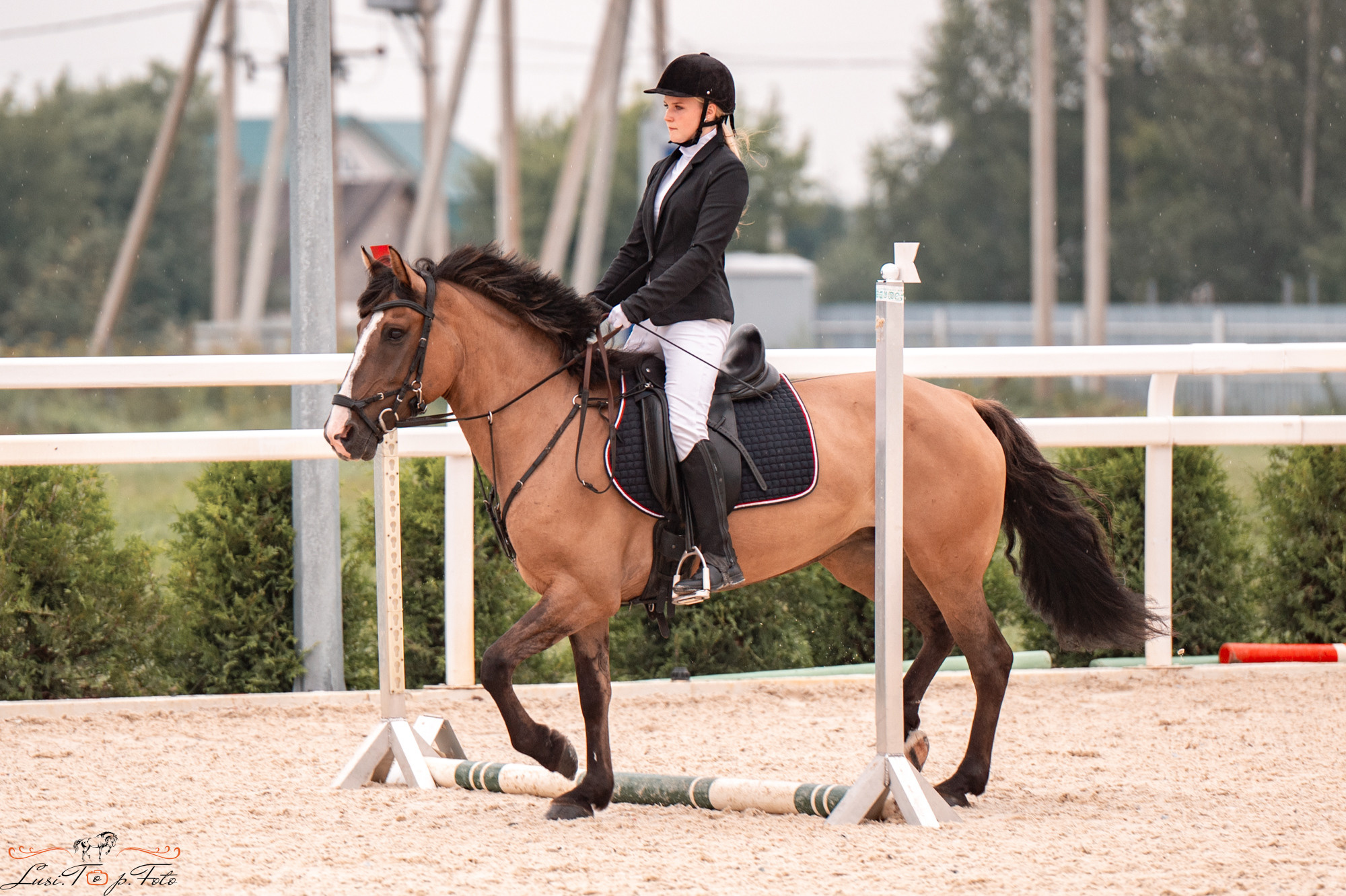 Конкур Equipark. Конный и фотограф с животными в Твери Топталова Люся