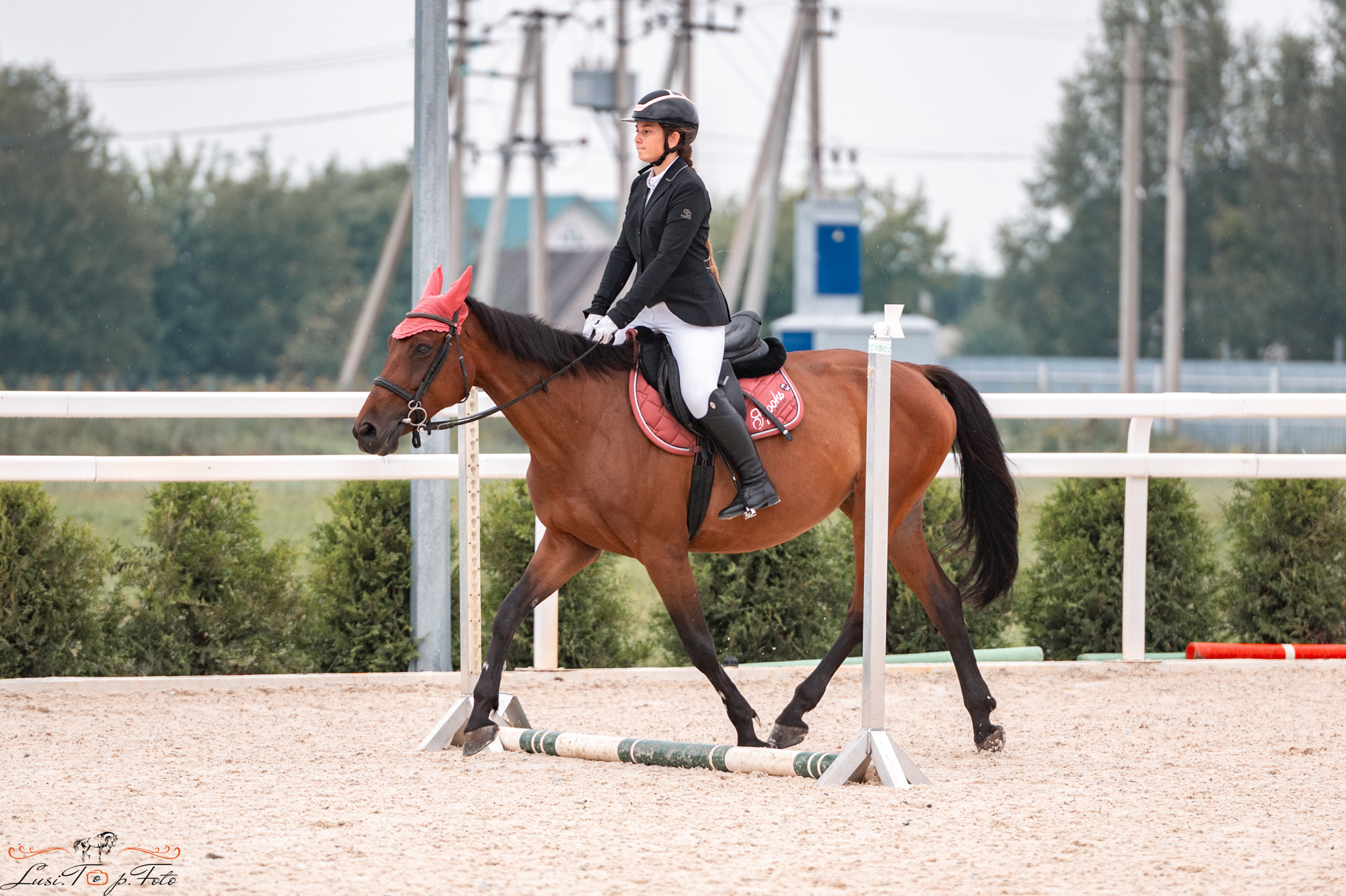 Конкур Equipark. Конный и фотограф с животными в Твери Топталова Люся