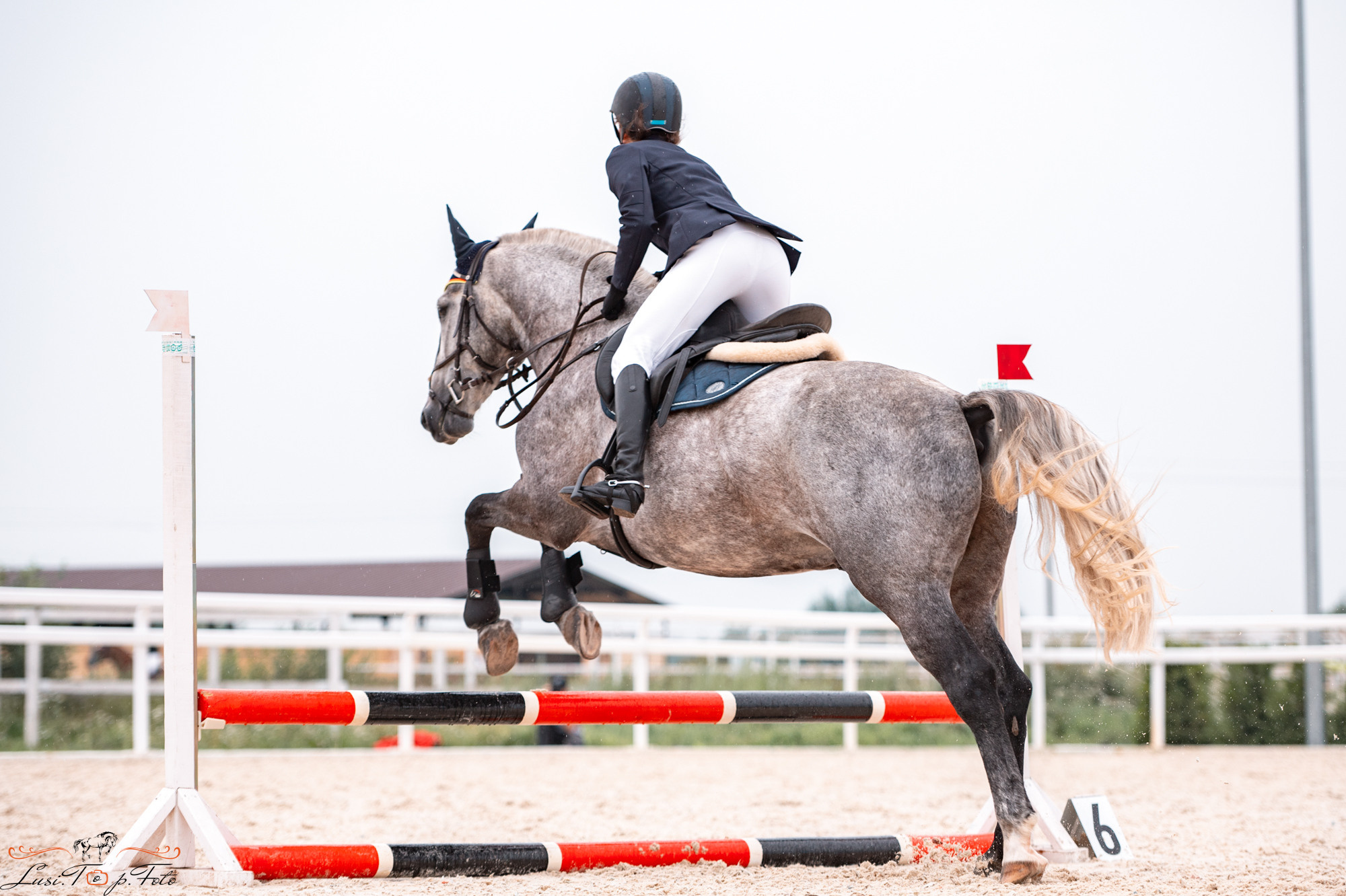 Конкур Equipark. Конный и фотограф с животными в Твери Топталова Люся