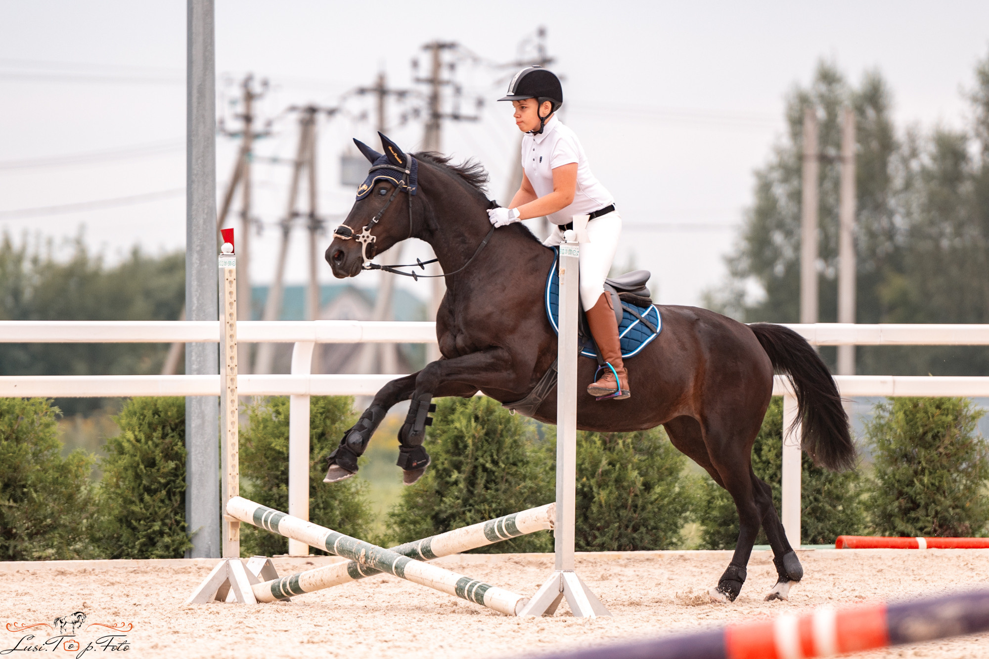 Конкур Equipark. Конный и фотограф с животными в Твери Топталова Люся