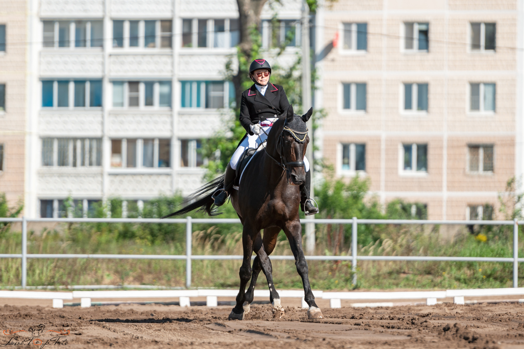 Чемпионат и Первенство Тверской области по выездке. Конный и фотограф с животными в Твери Топталова Люся